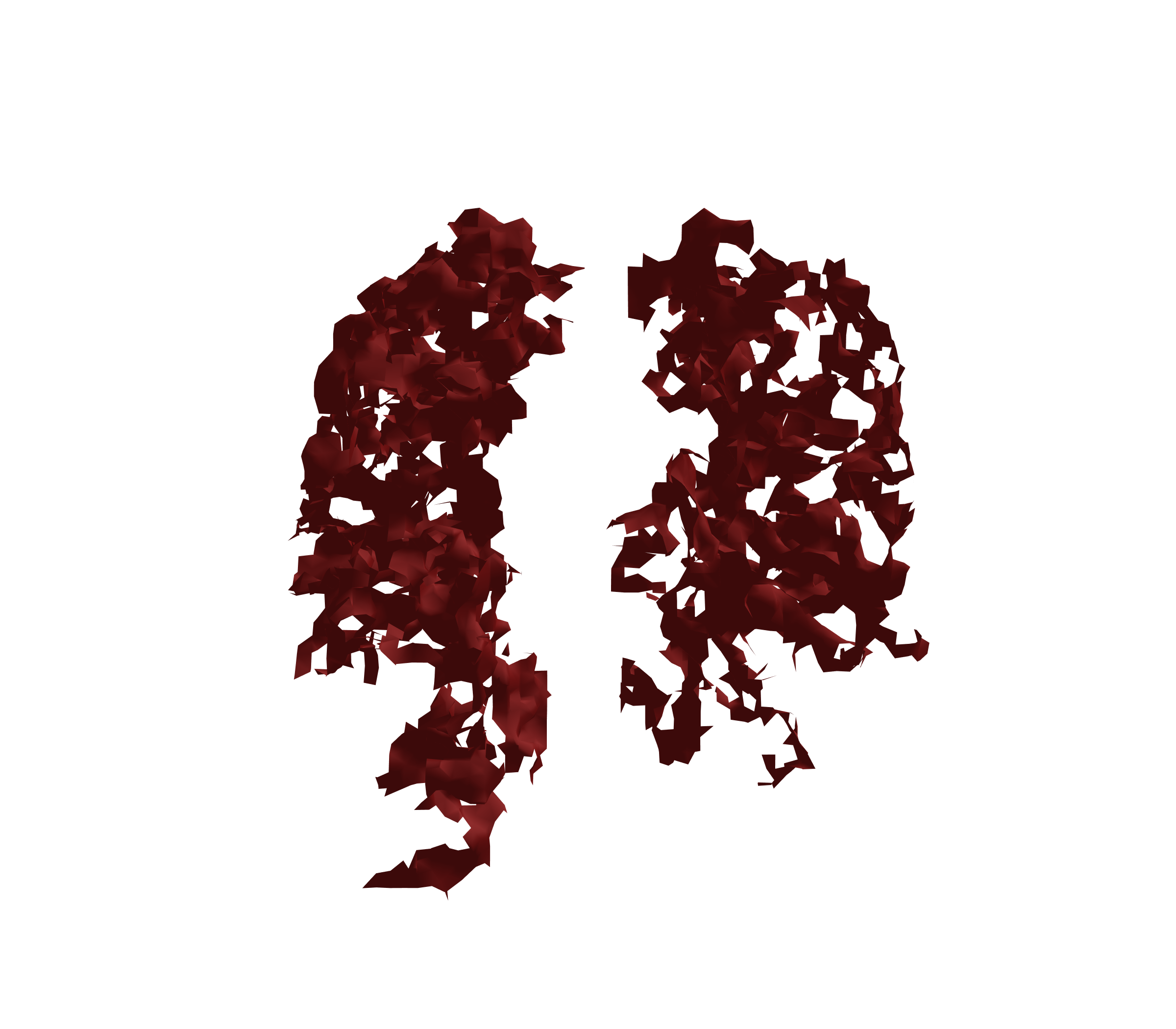 Surface Mesh (Expiration) - Front View