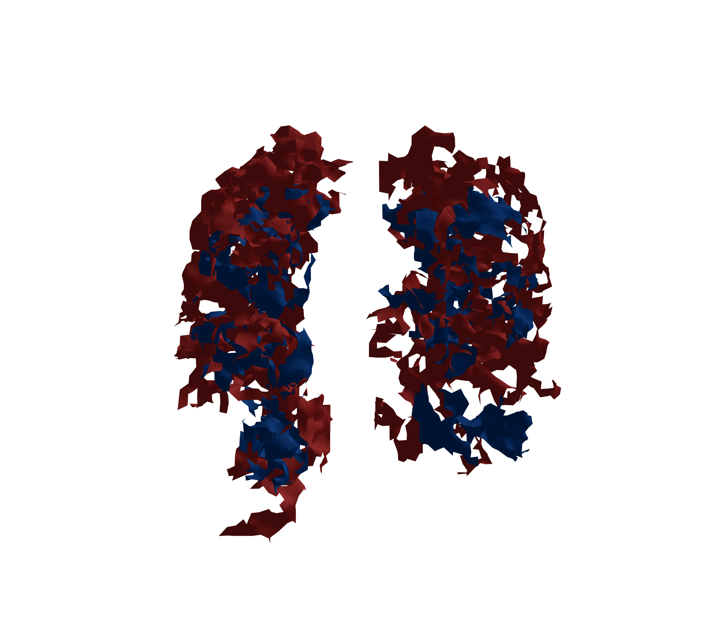 Surface Mesh - Front View