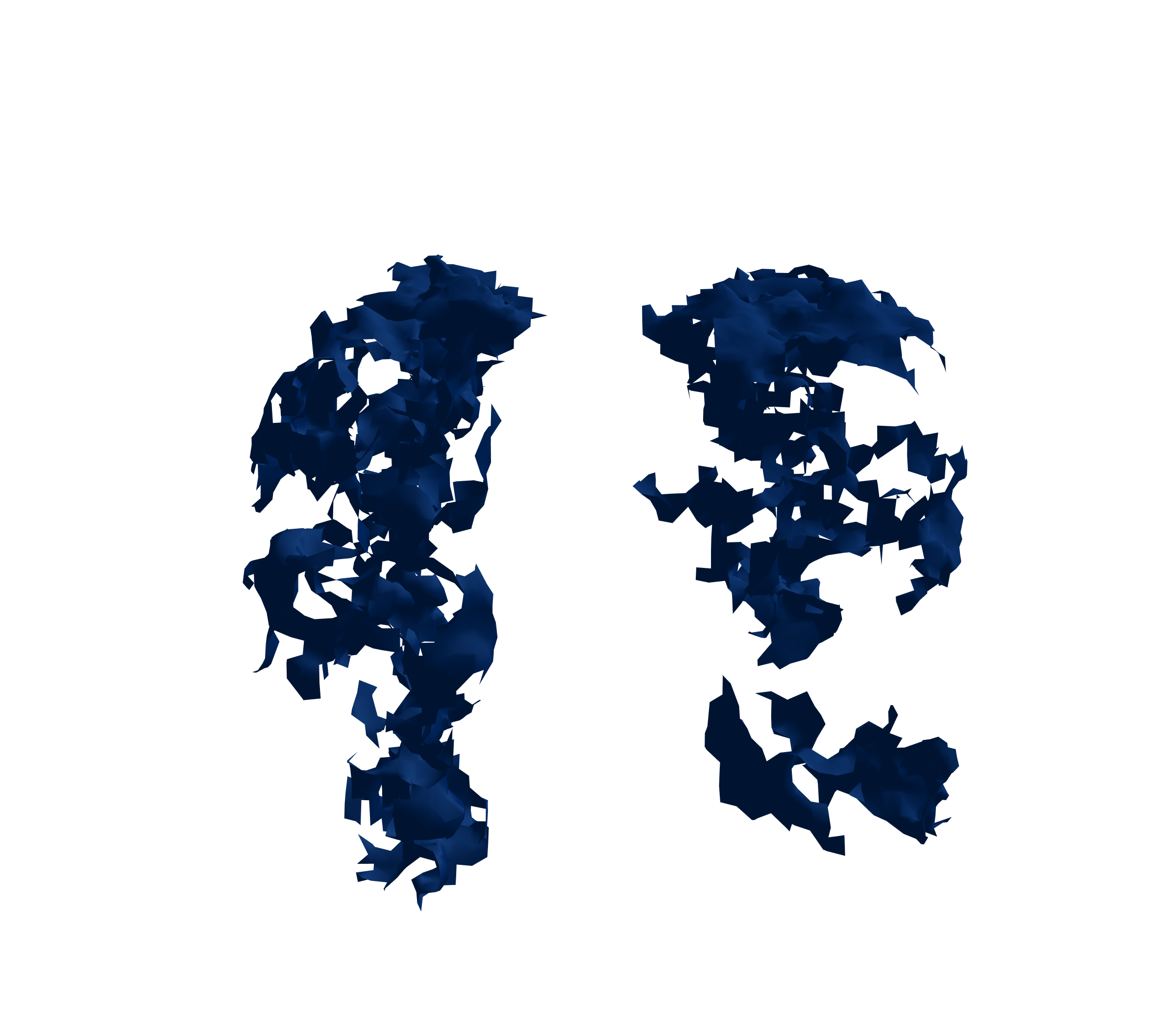 Surface Mesh (Inspiration) - Front View