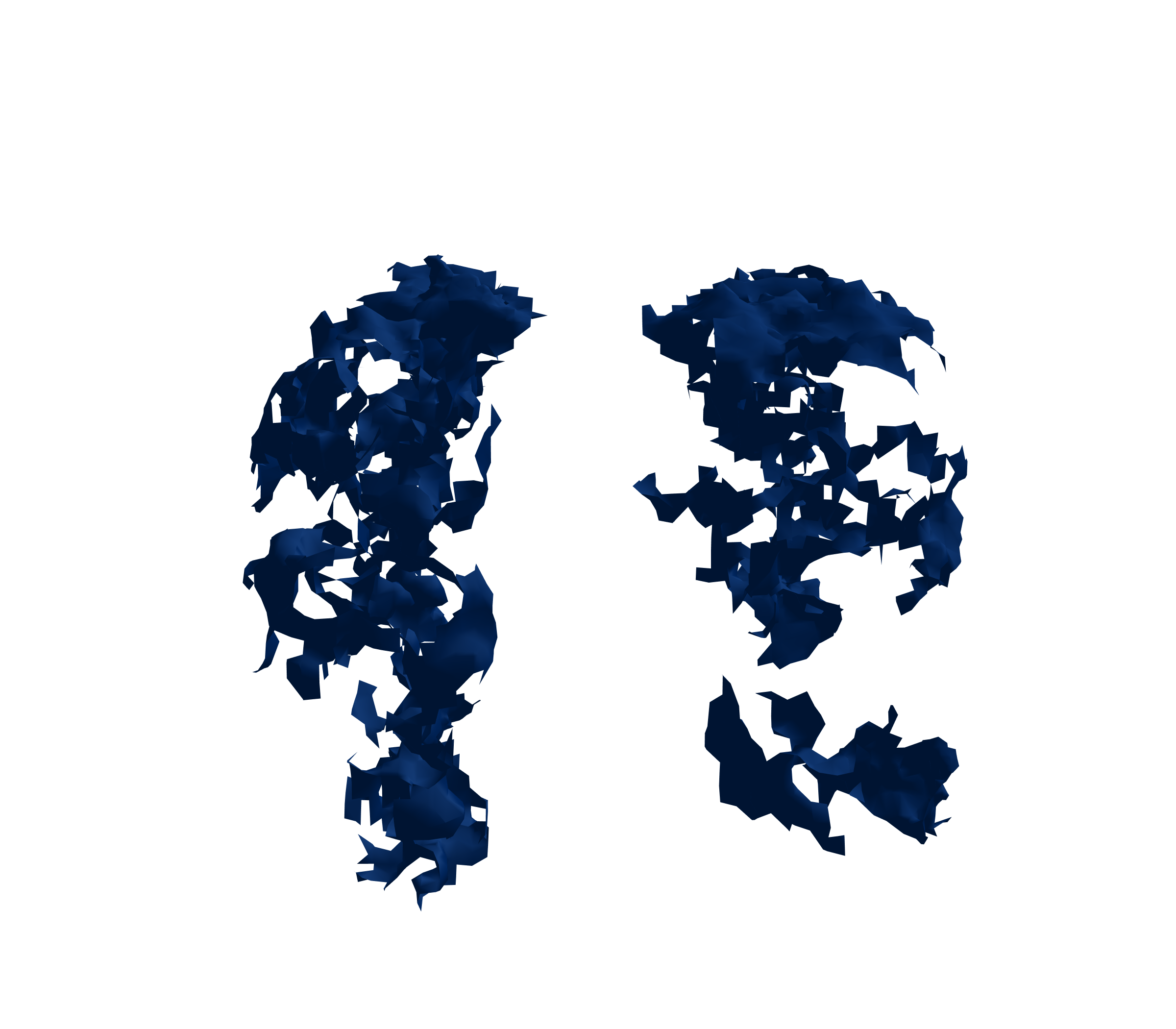 Surface Mesh (Inspiration) - Front View