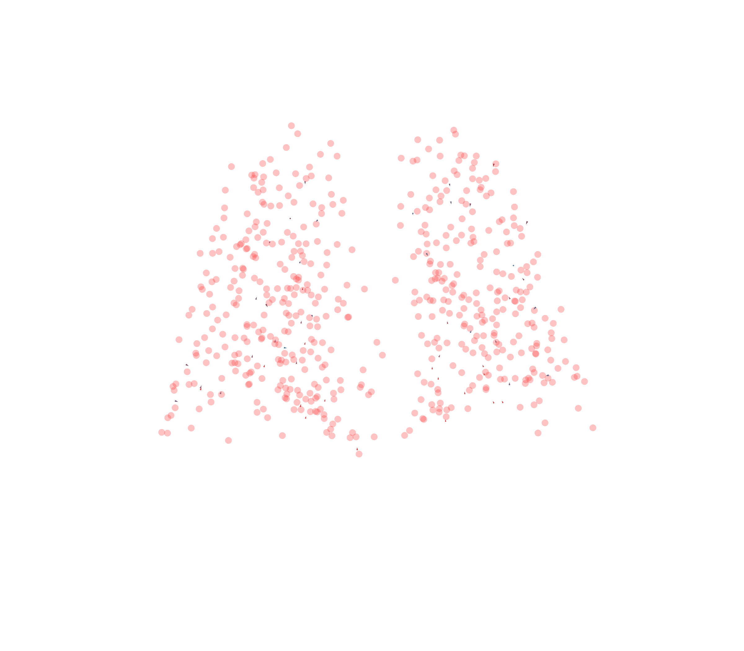 Displacement Vectors - Back View