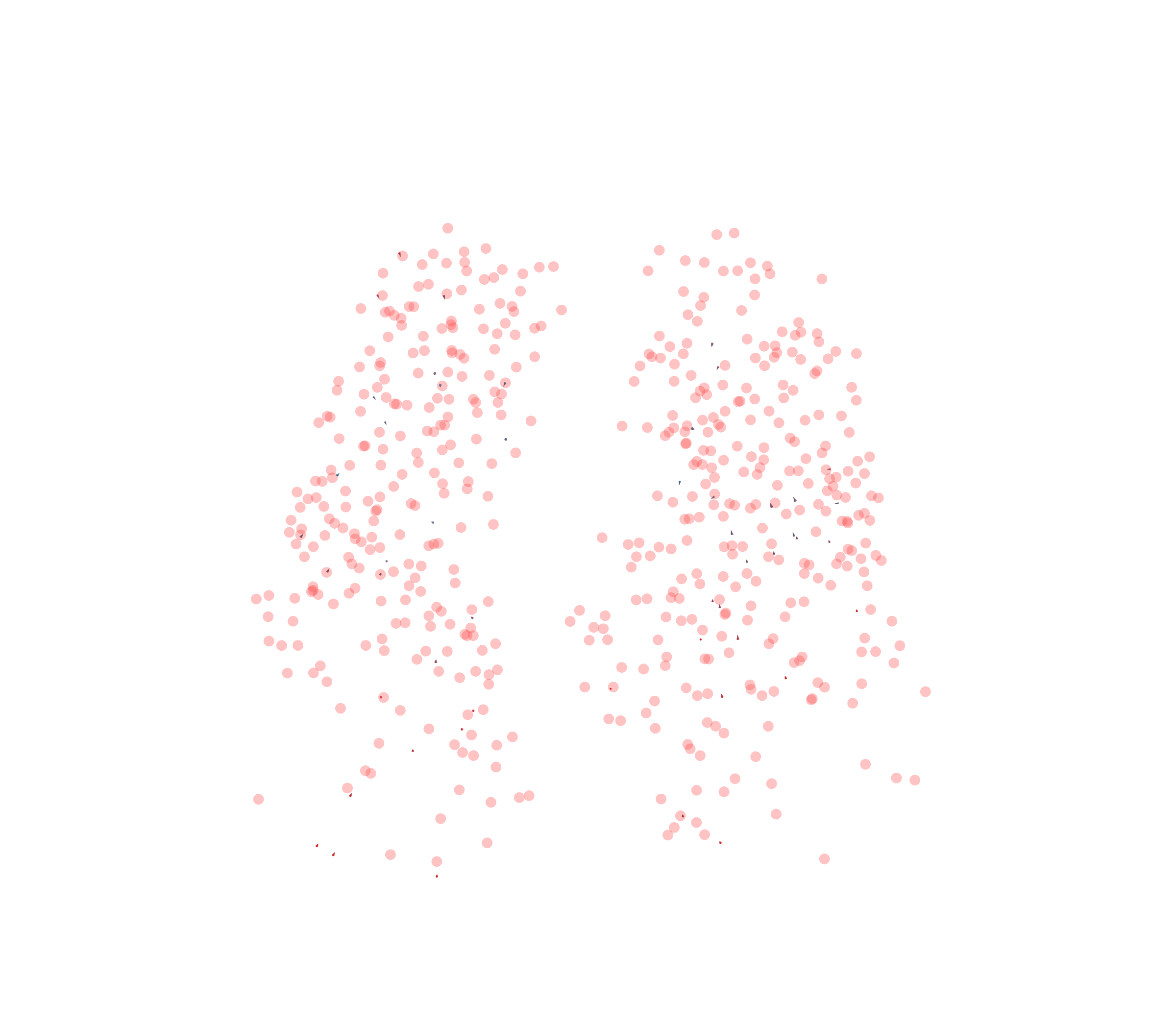 Displacement Vectors - Front View