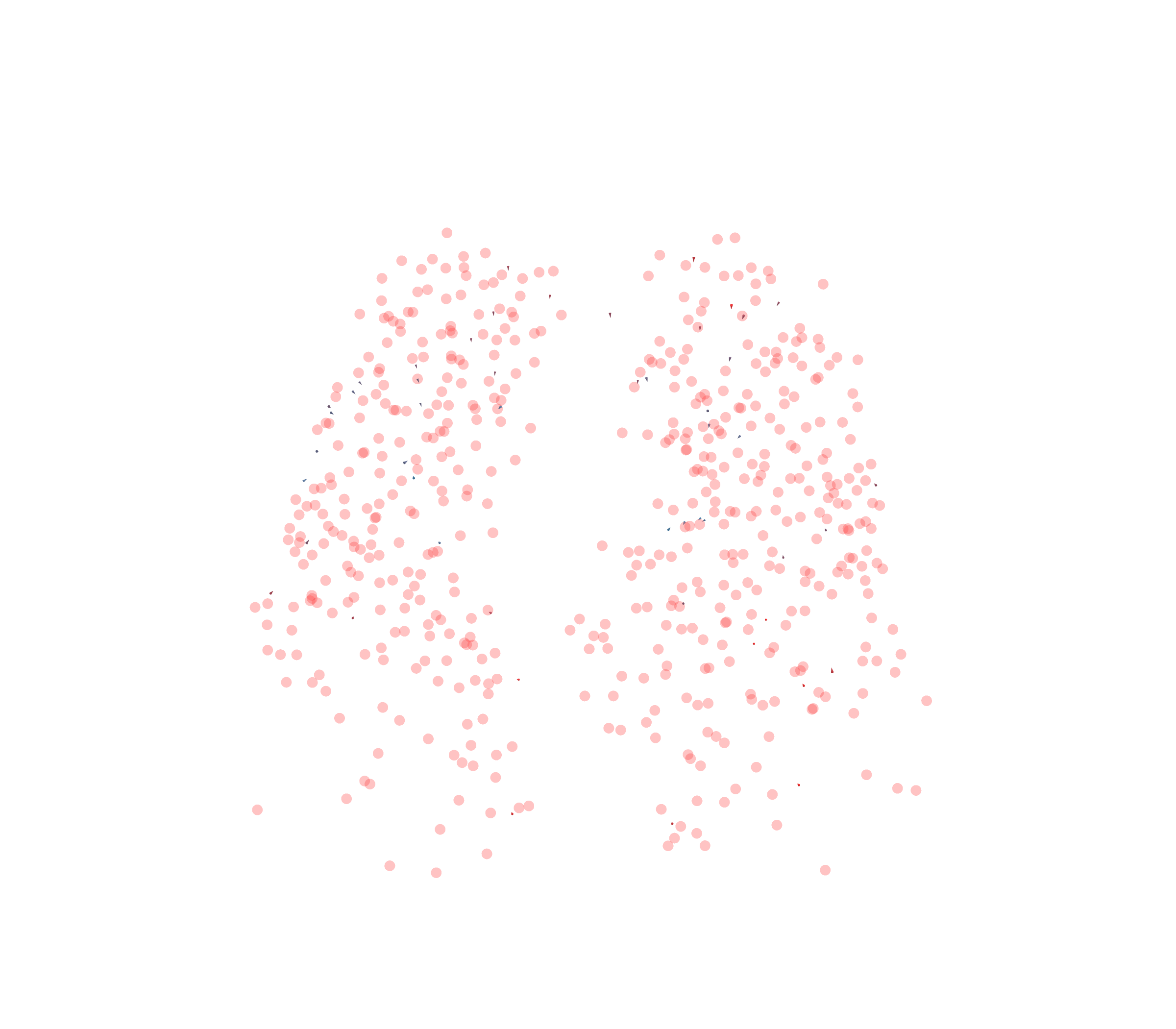 Displacement Vectors - Front View