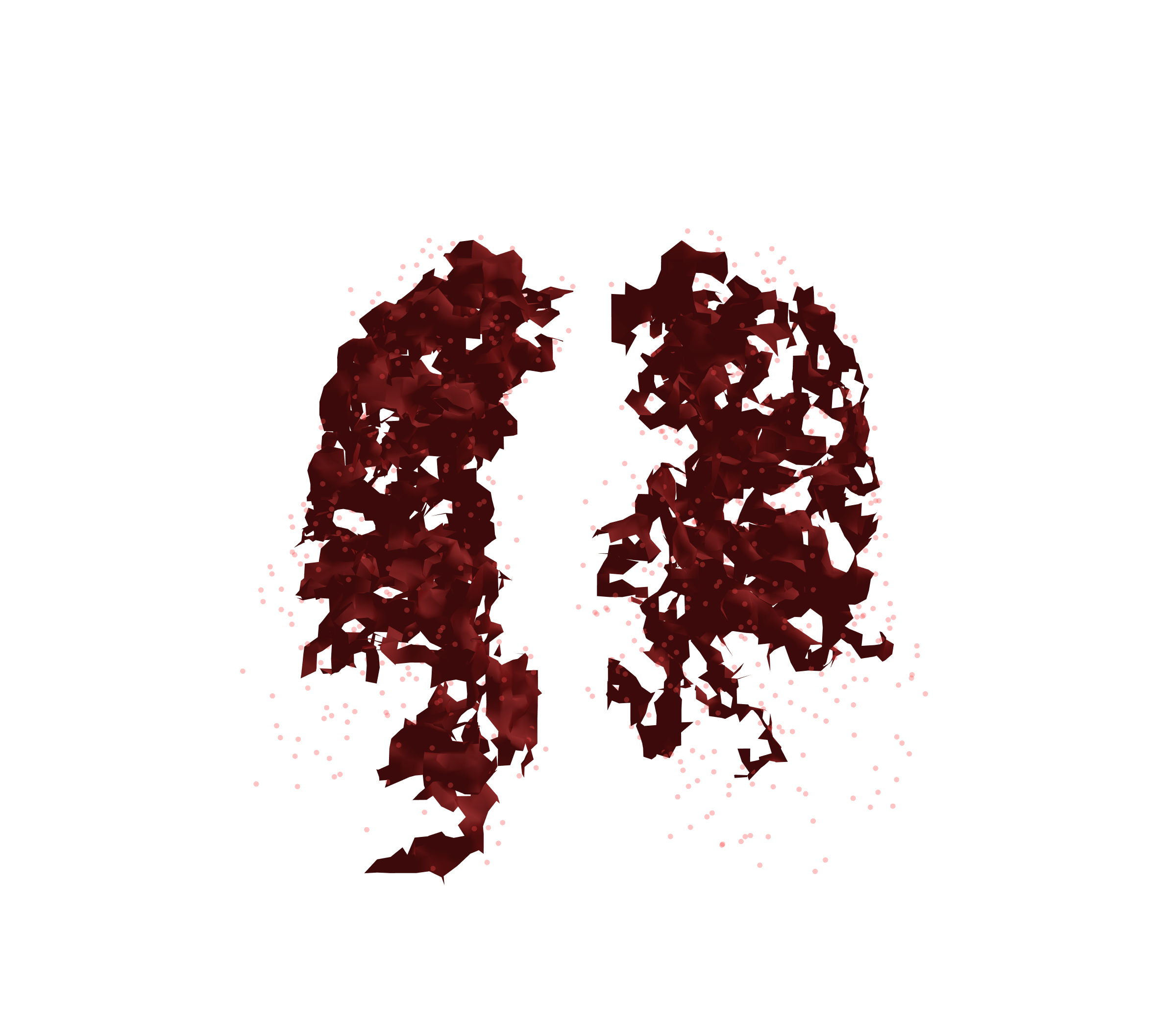 Combined Visualization (Expiration) - Front View