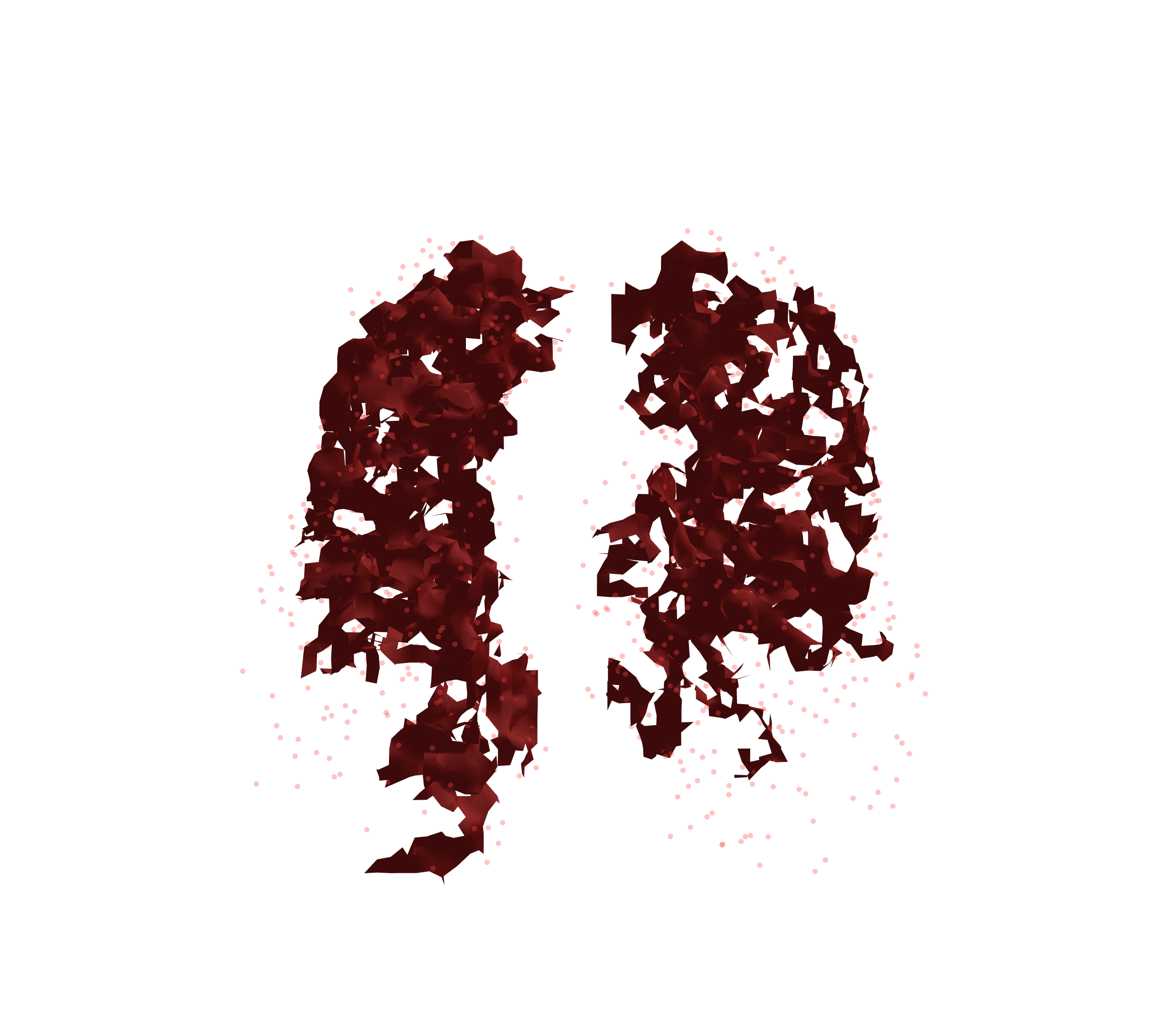 Combined Visualization (Expiration) - Front View