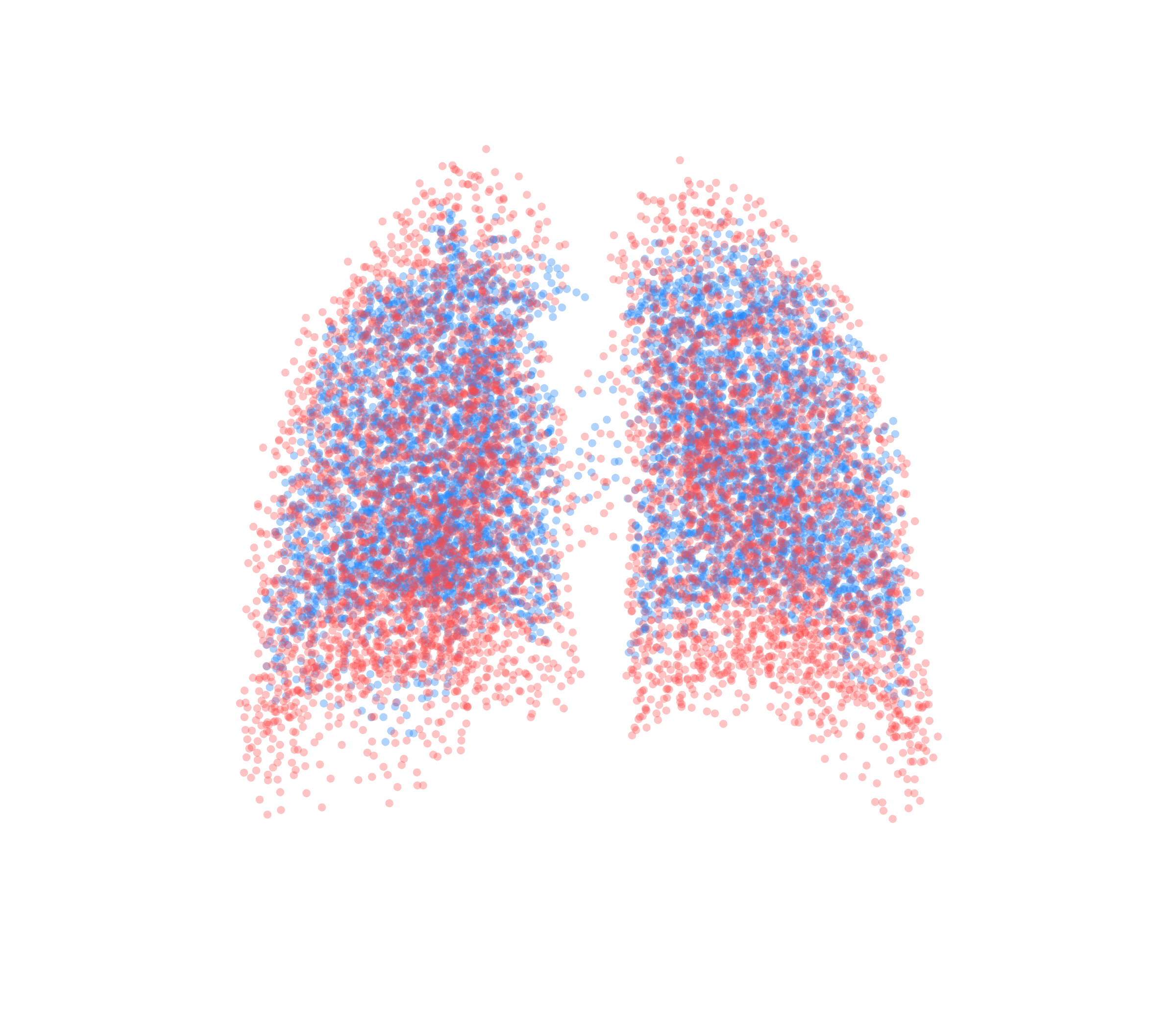 Point Cloud - Back View