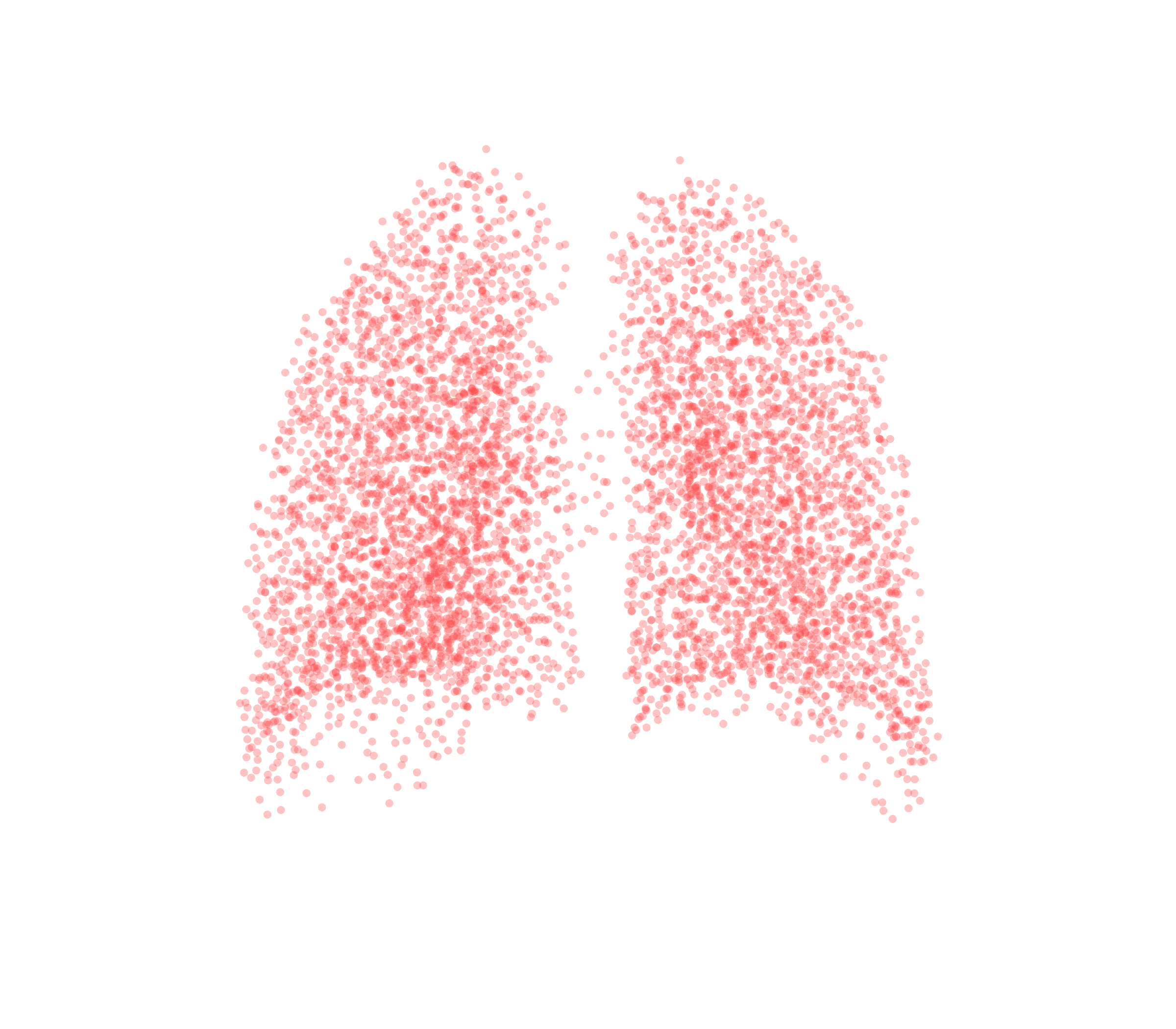Point Cloud (Expiration) - Back View