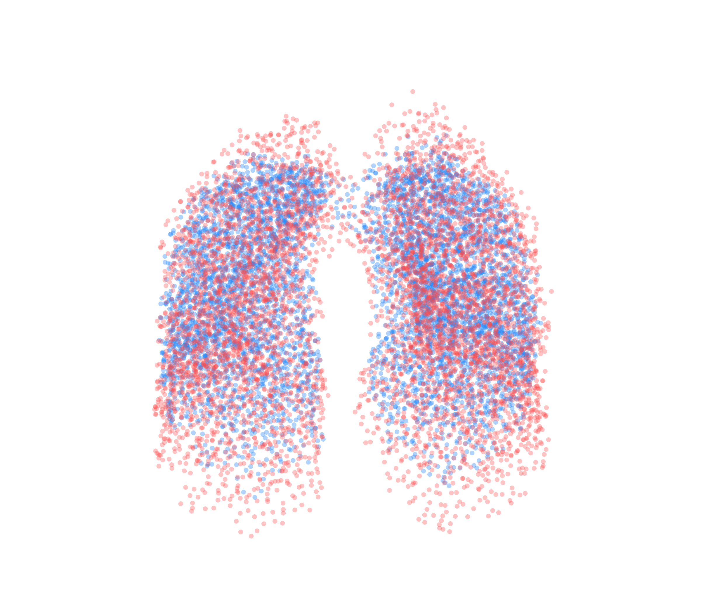 Point Cloud - Front View