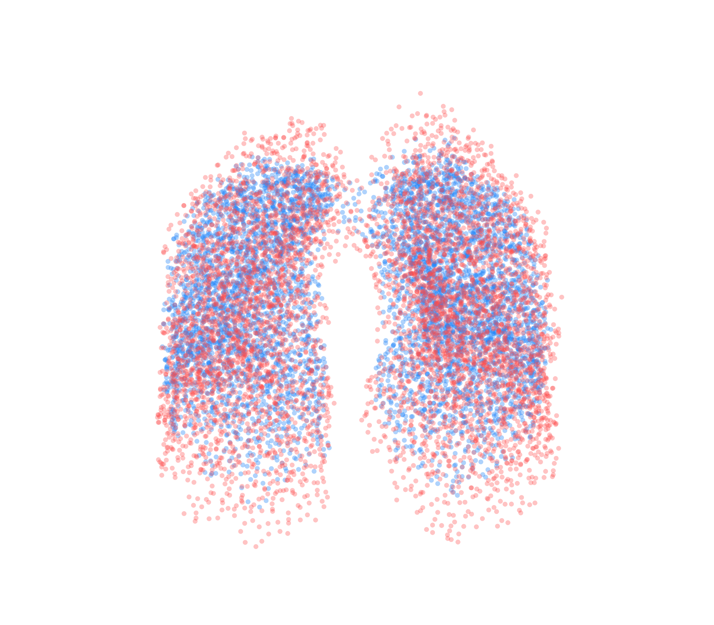 Point Cloud - Front View