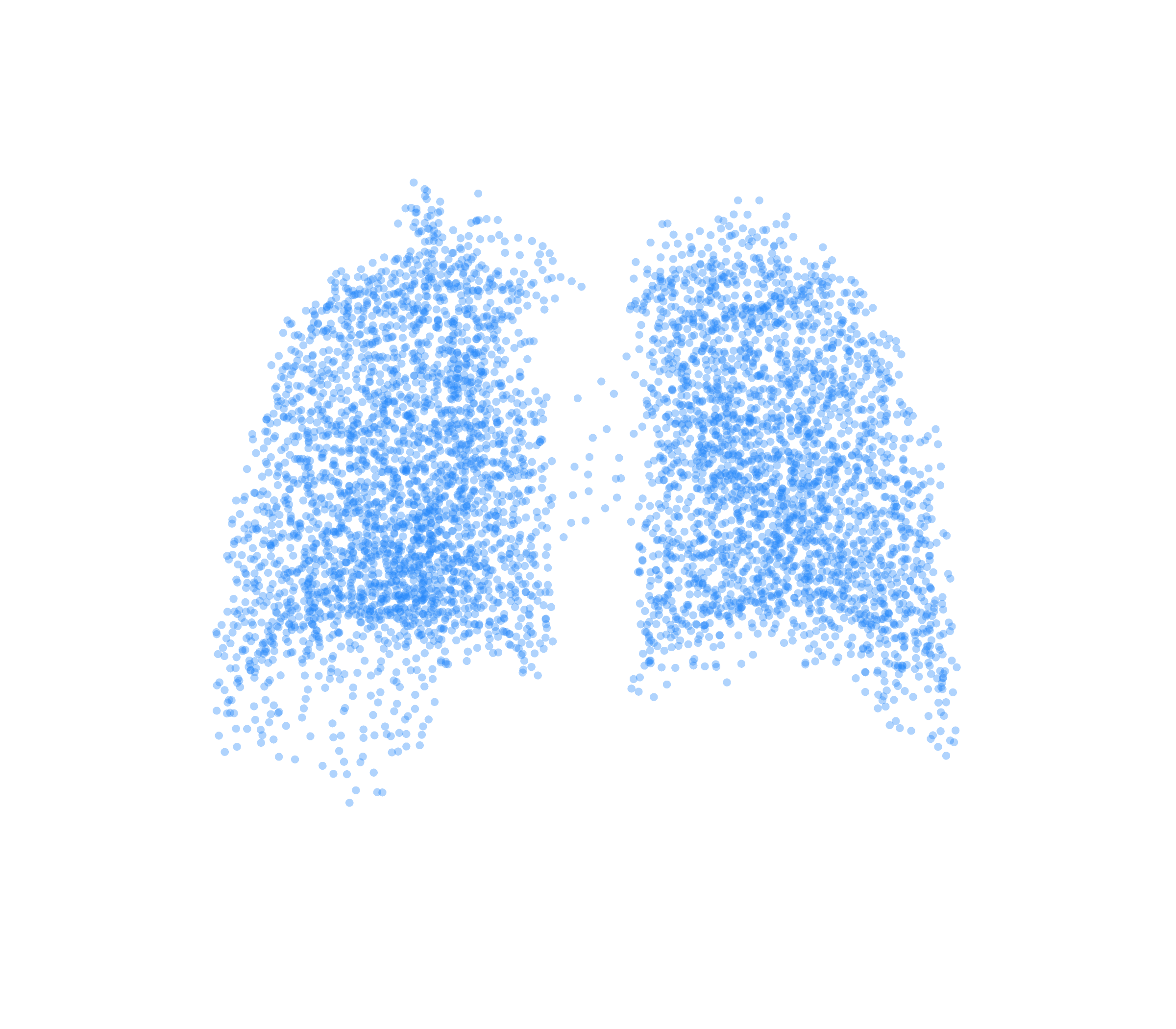 Point Cloud (Inspiration) - Back View