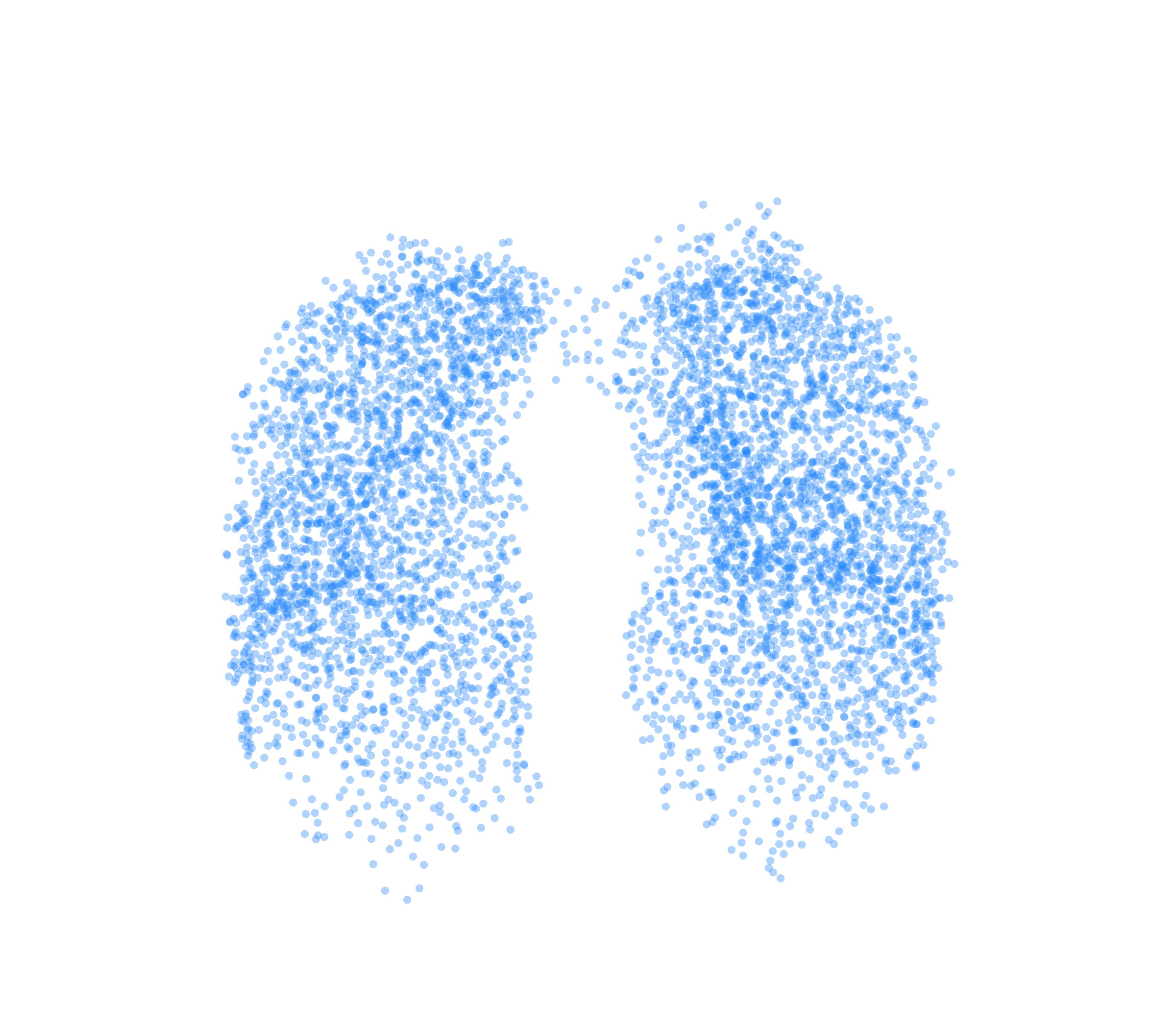 Point Cloud (Inspiration) - Front View