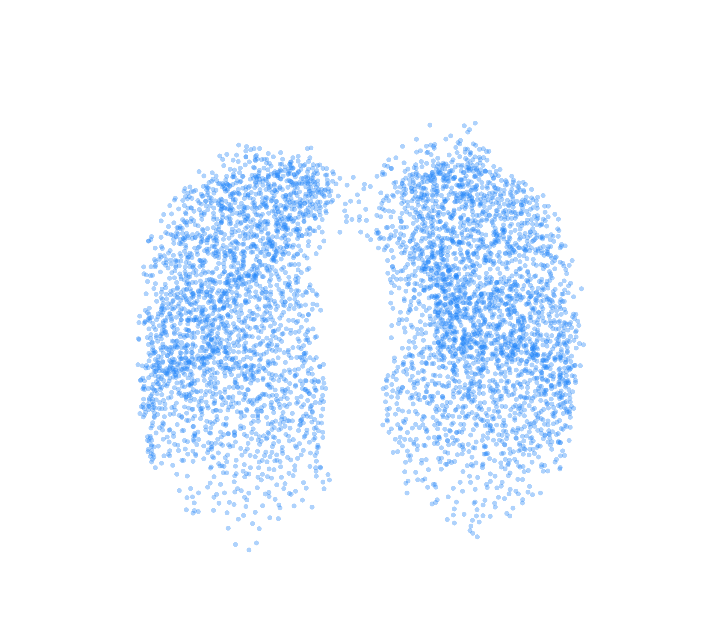 Point Cloud (Inspiration) - Front View