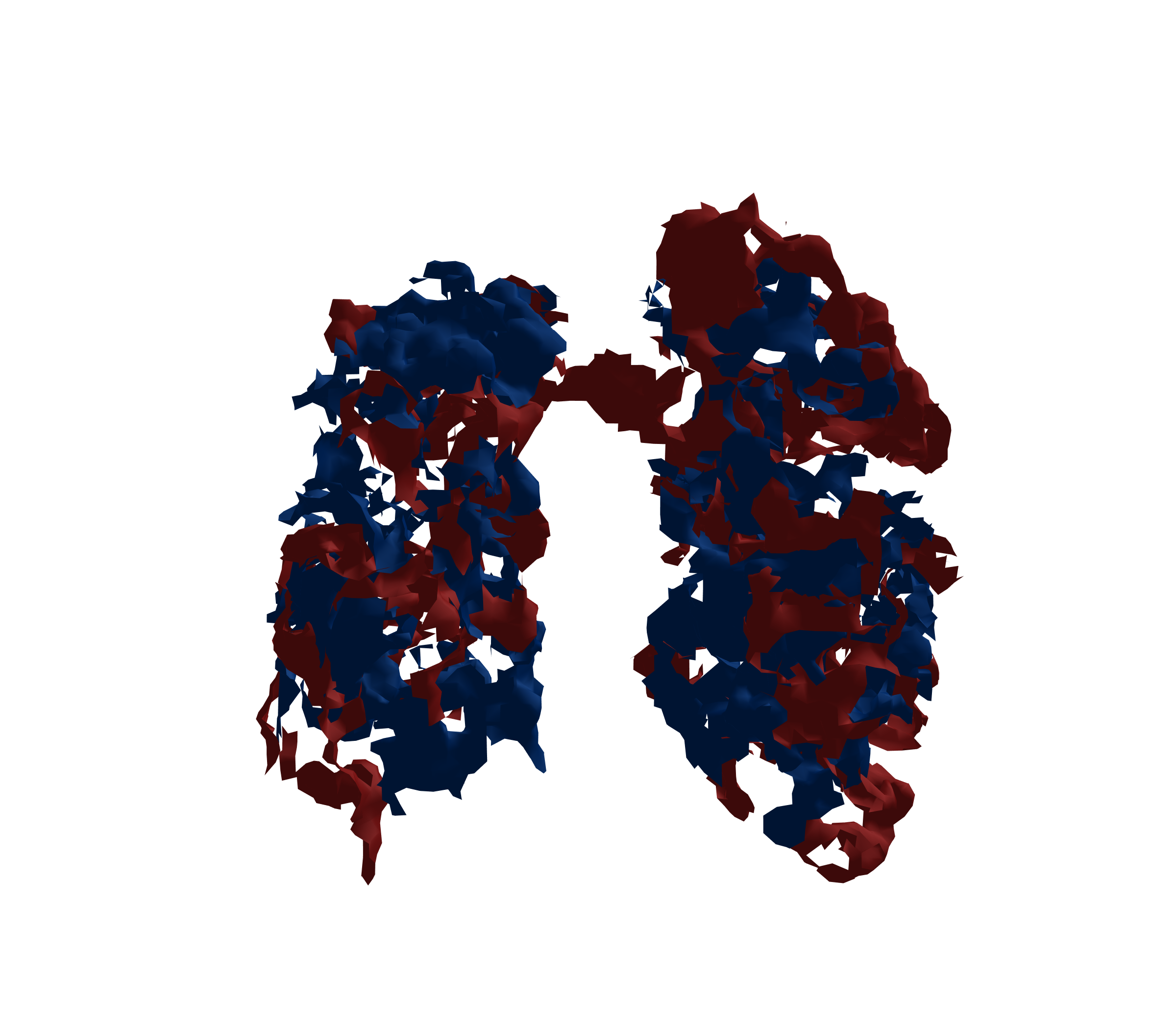 Surface Mesh - Front View