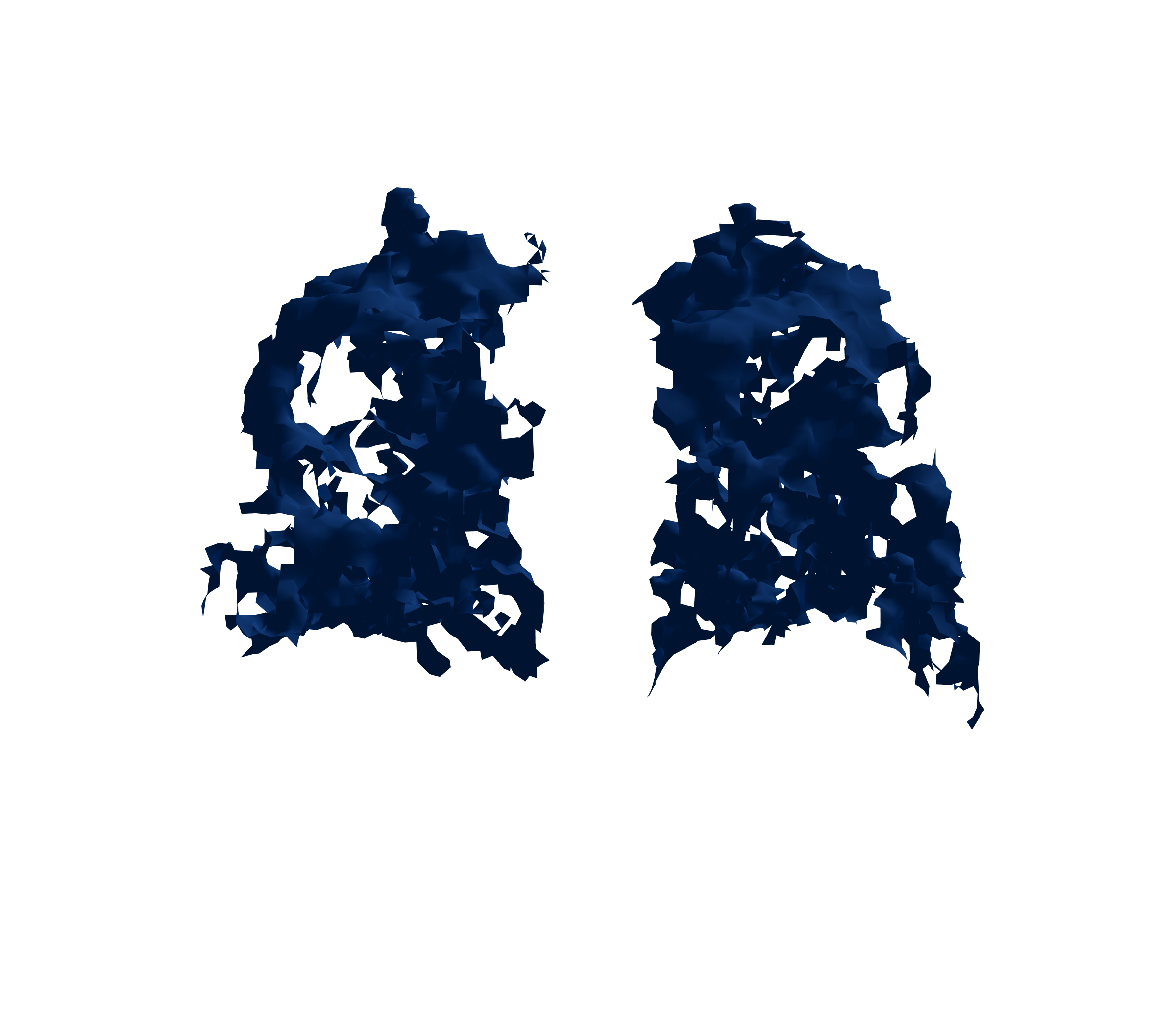 Surface Mesh (Inspiration) - Back View