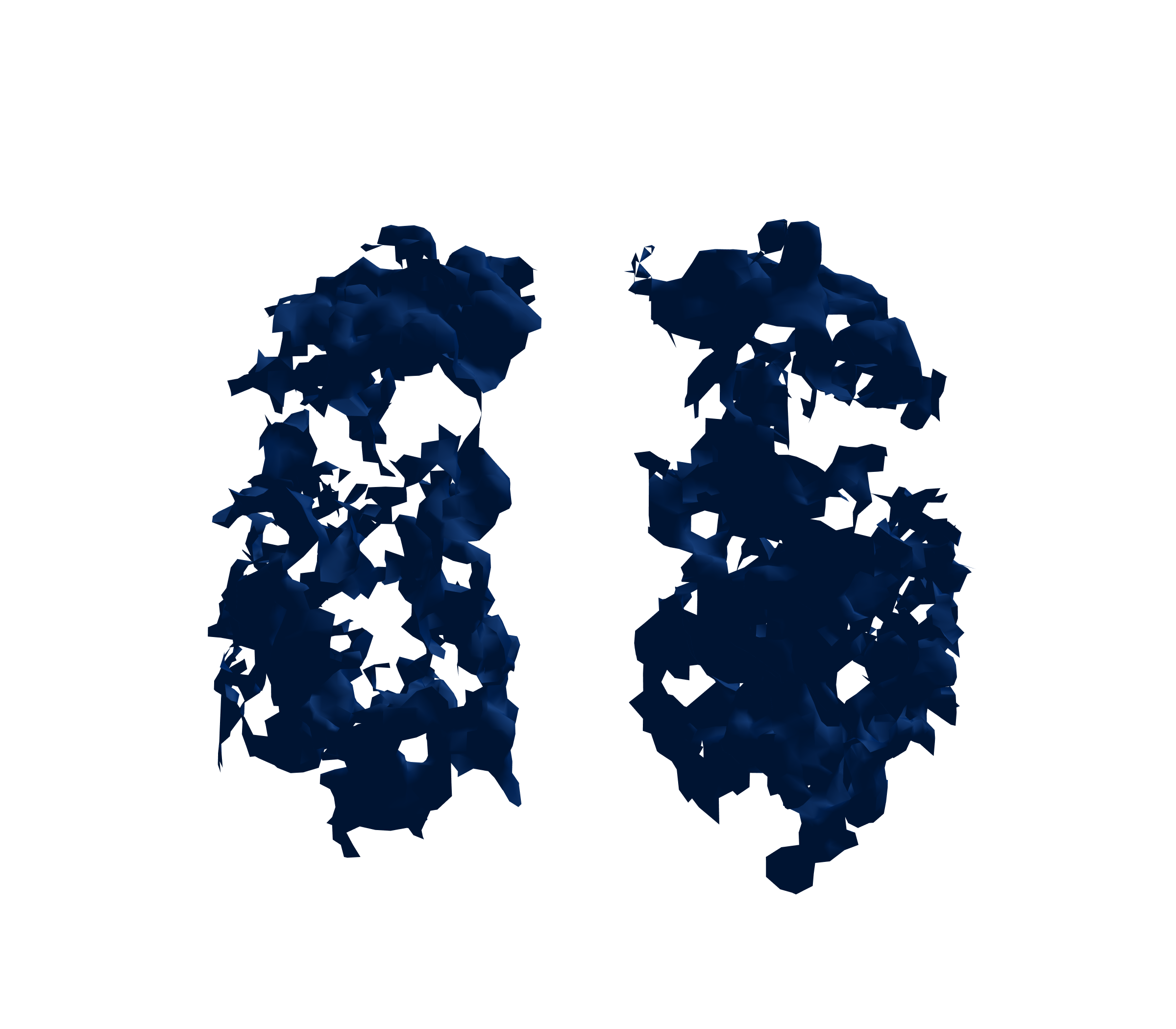 Surface Mesh (Inspiration) - Front View