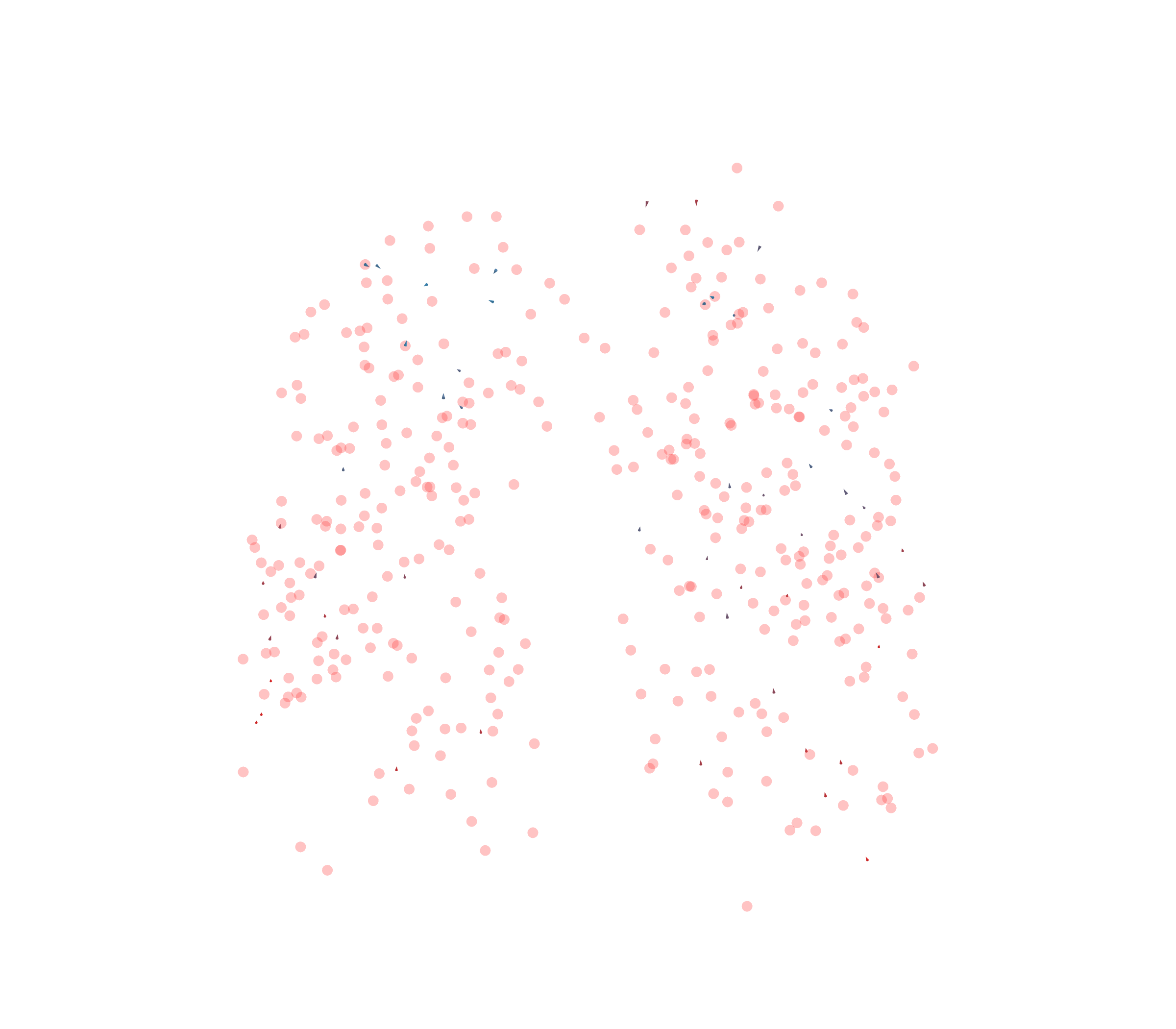 Displacement Vectors - Front View