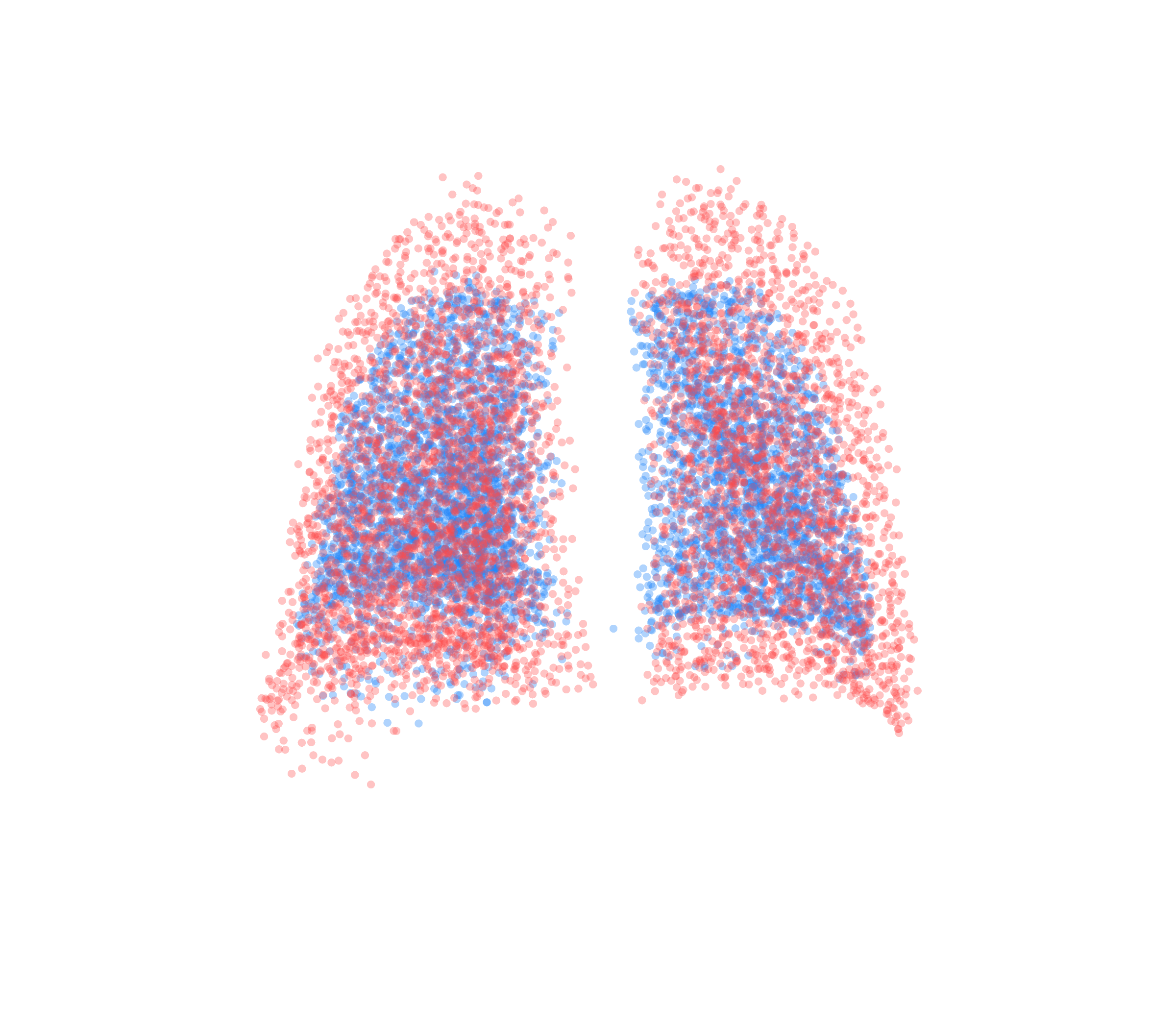 Point Cloud - Back View