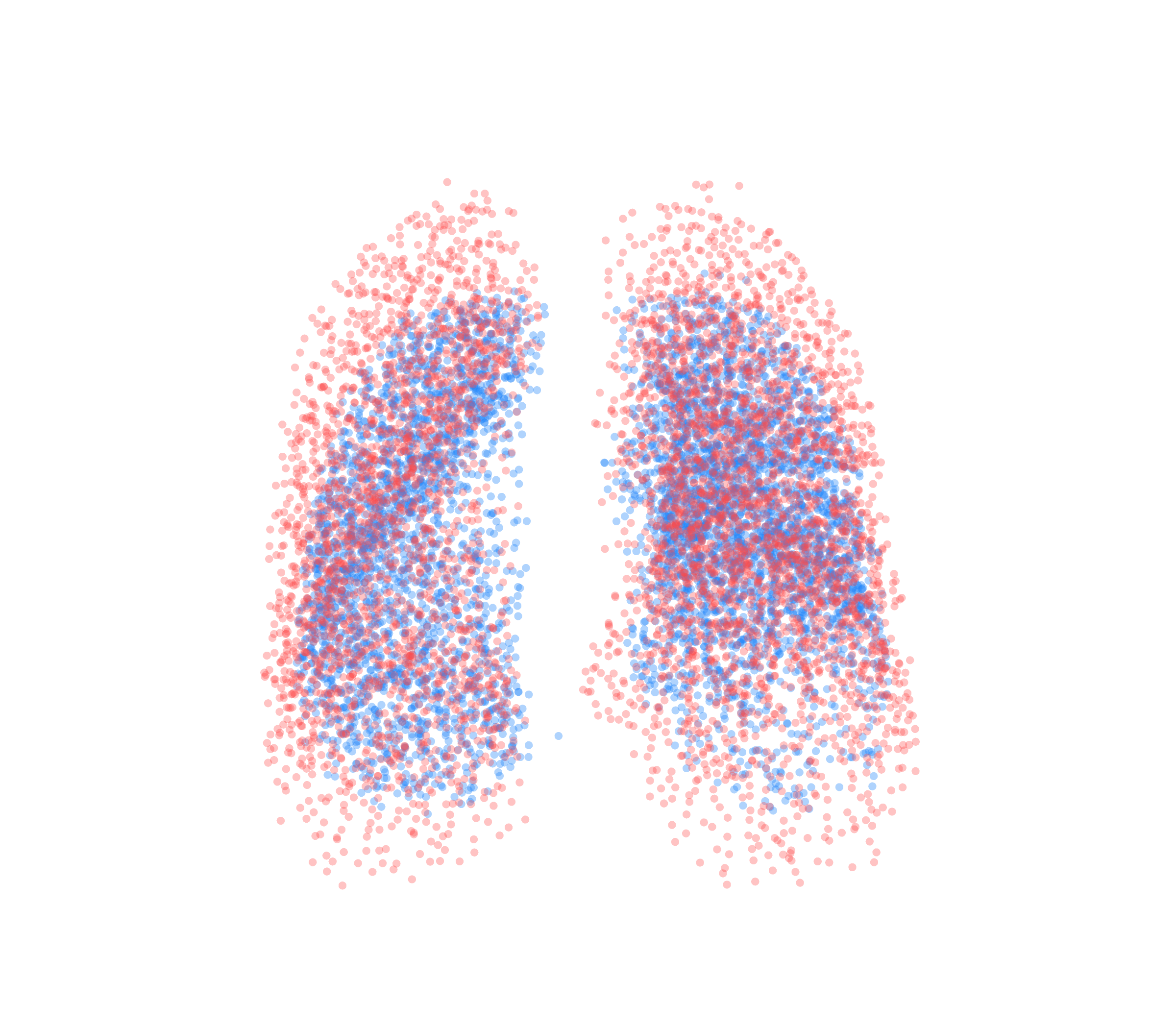 Point Cloud - Front View
