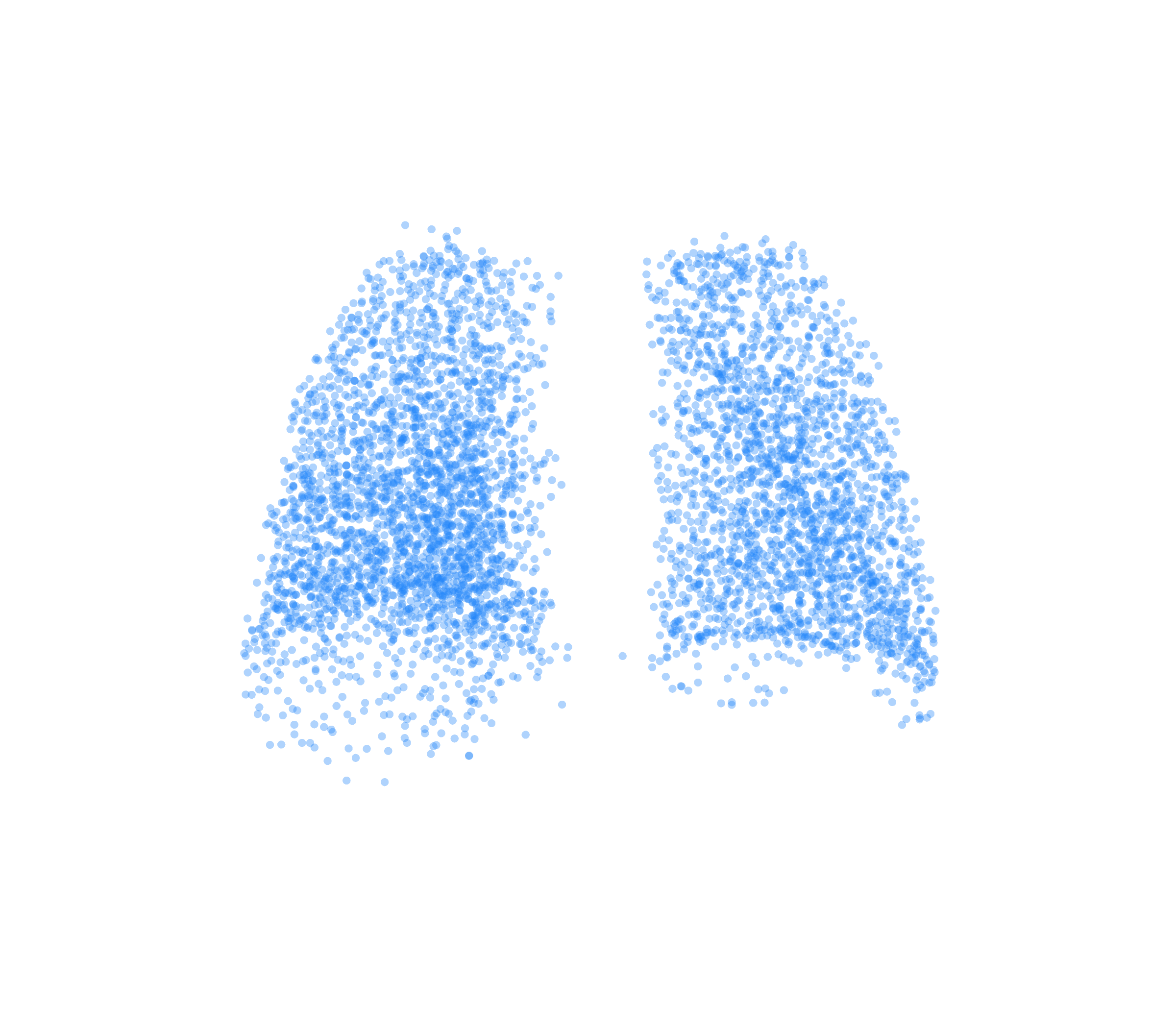 Point Cloud (Inspiration) - Back View