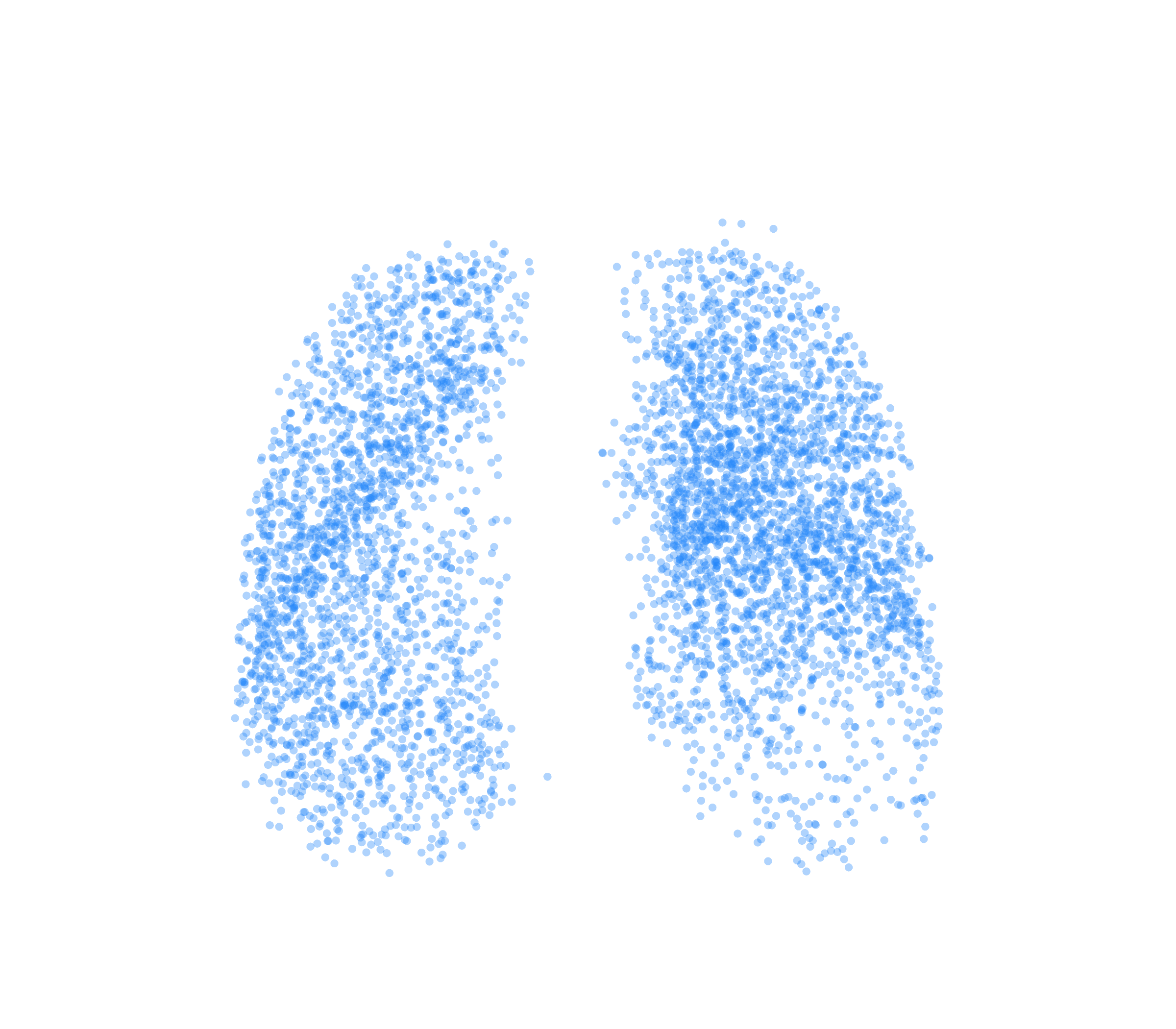 Point Cloud (Inspiration) - Front View