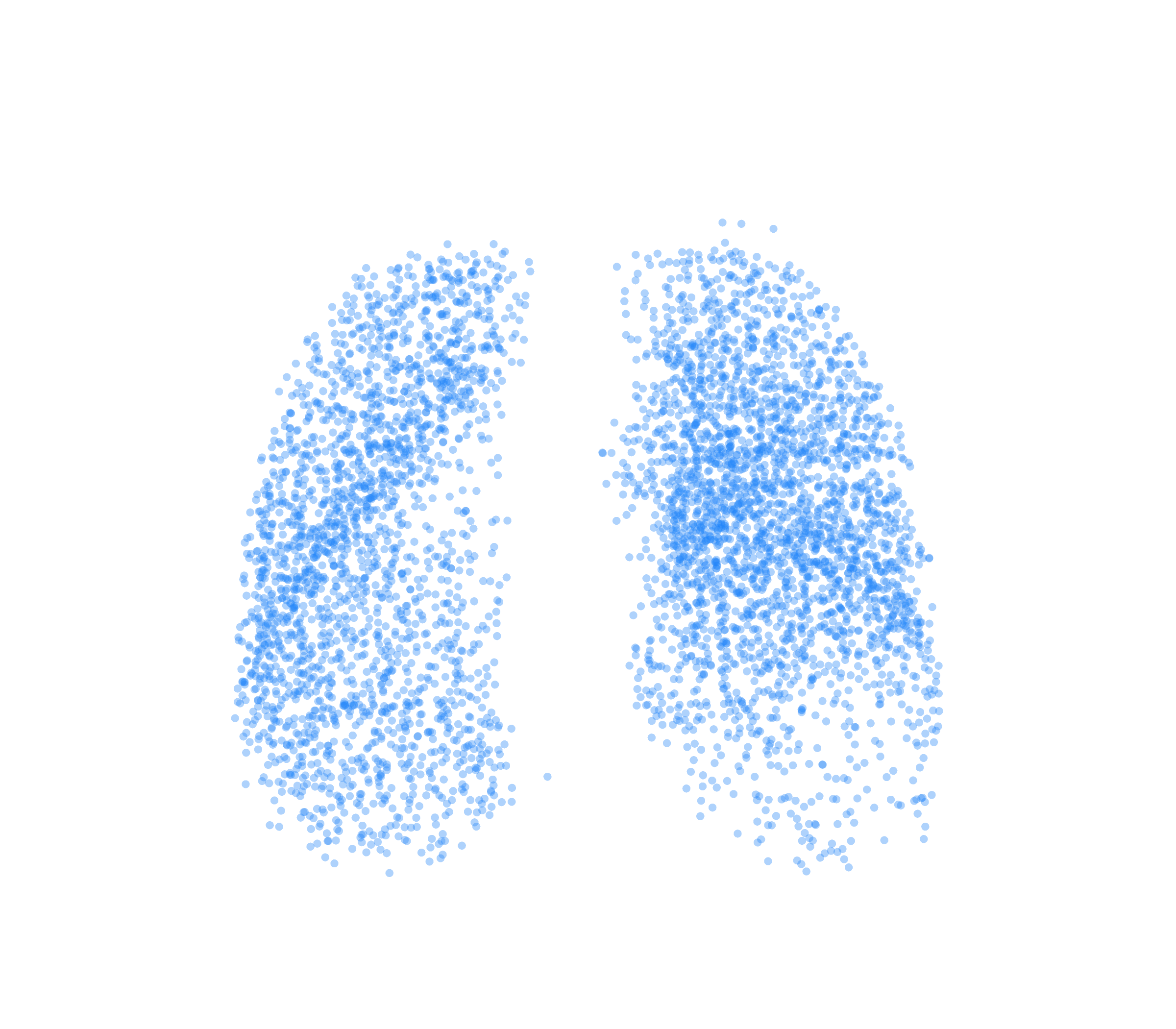 Point Cloud (Inspiration) - Front View