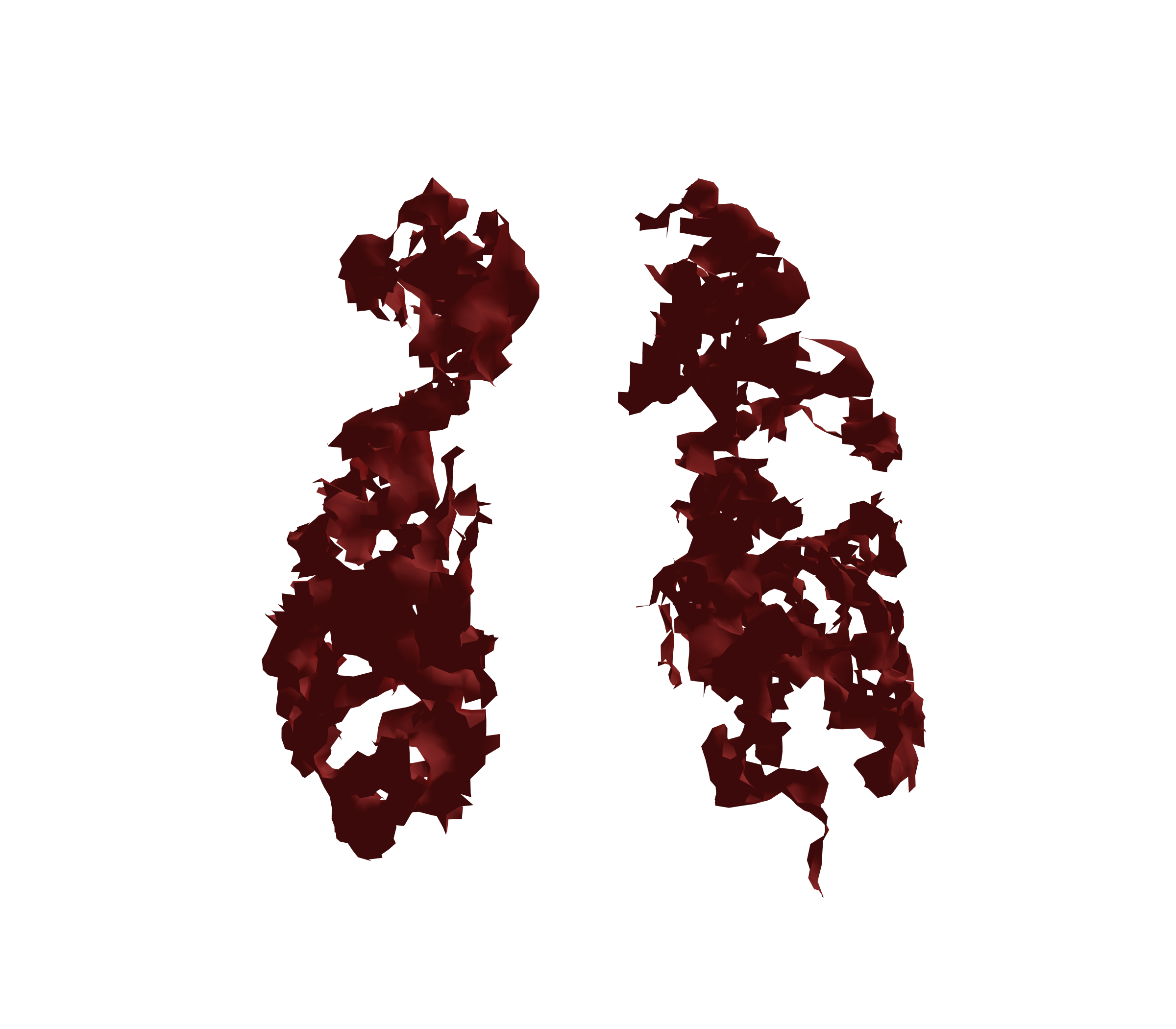 Surface Mesh (Expiration) - Front View