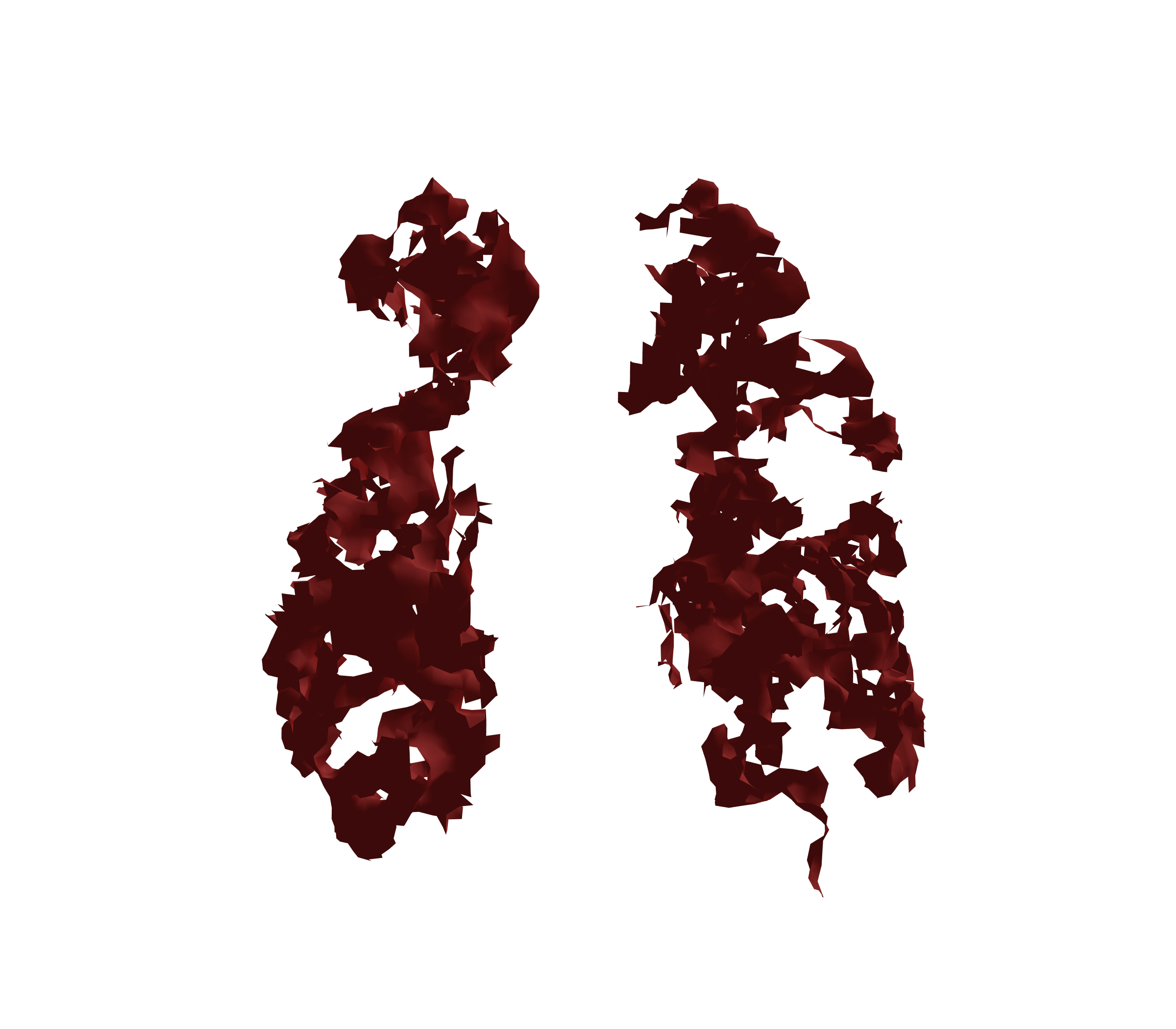 Surface Mesh (Expiration) - Front View