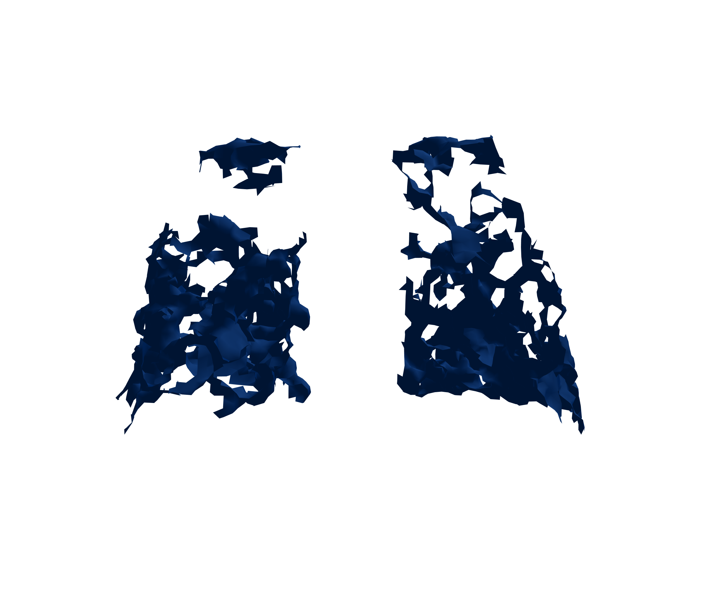 Surface Mesh (Inspiration) - Back View