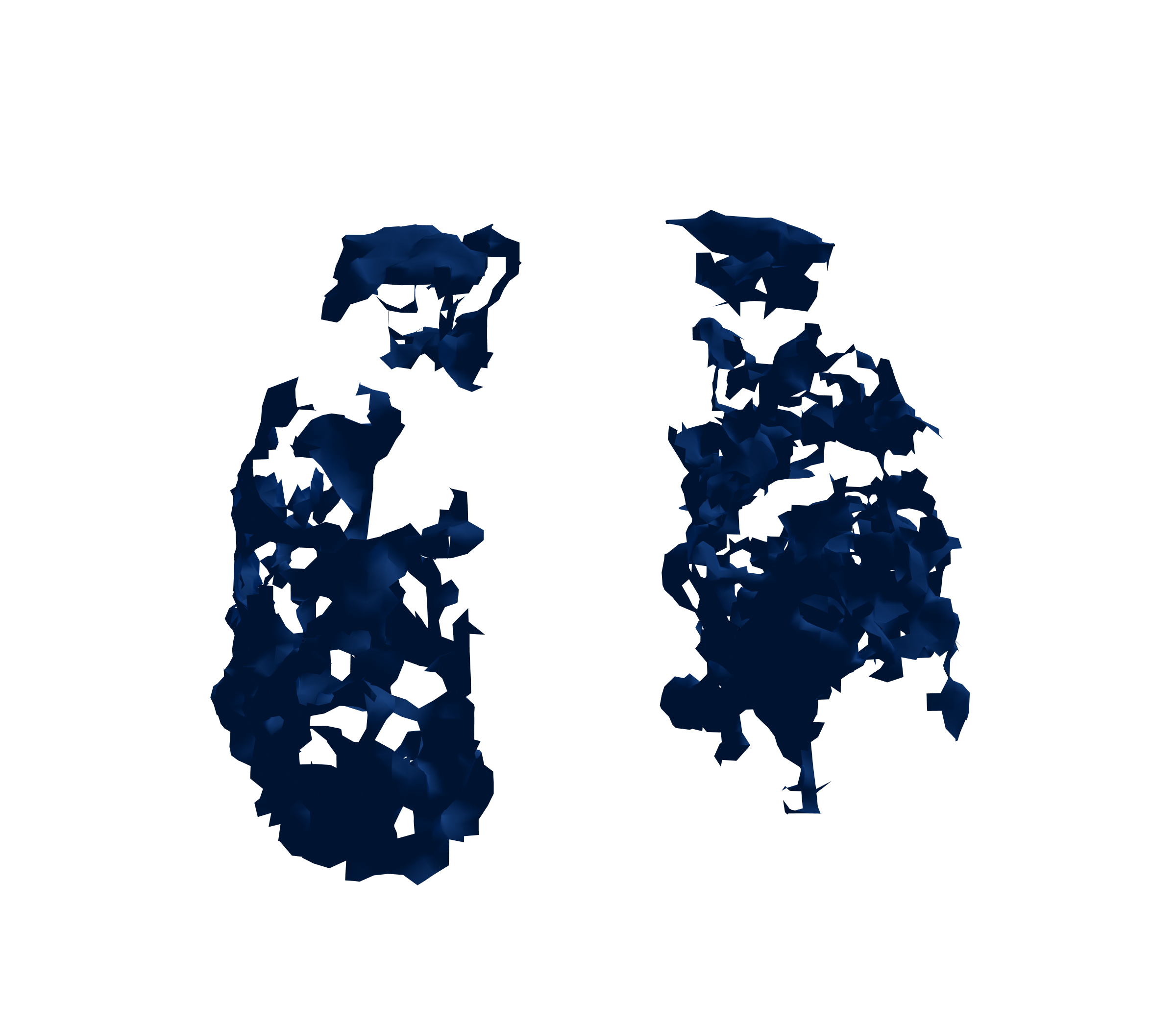 Surface Mesh (Inspiration) - Front View