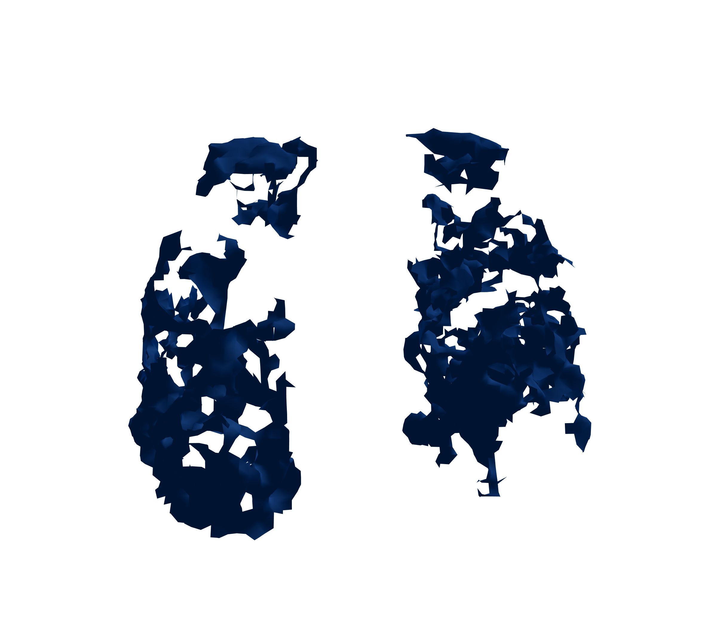 Surface Mesh (Inspiration) - Front View