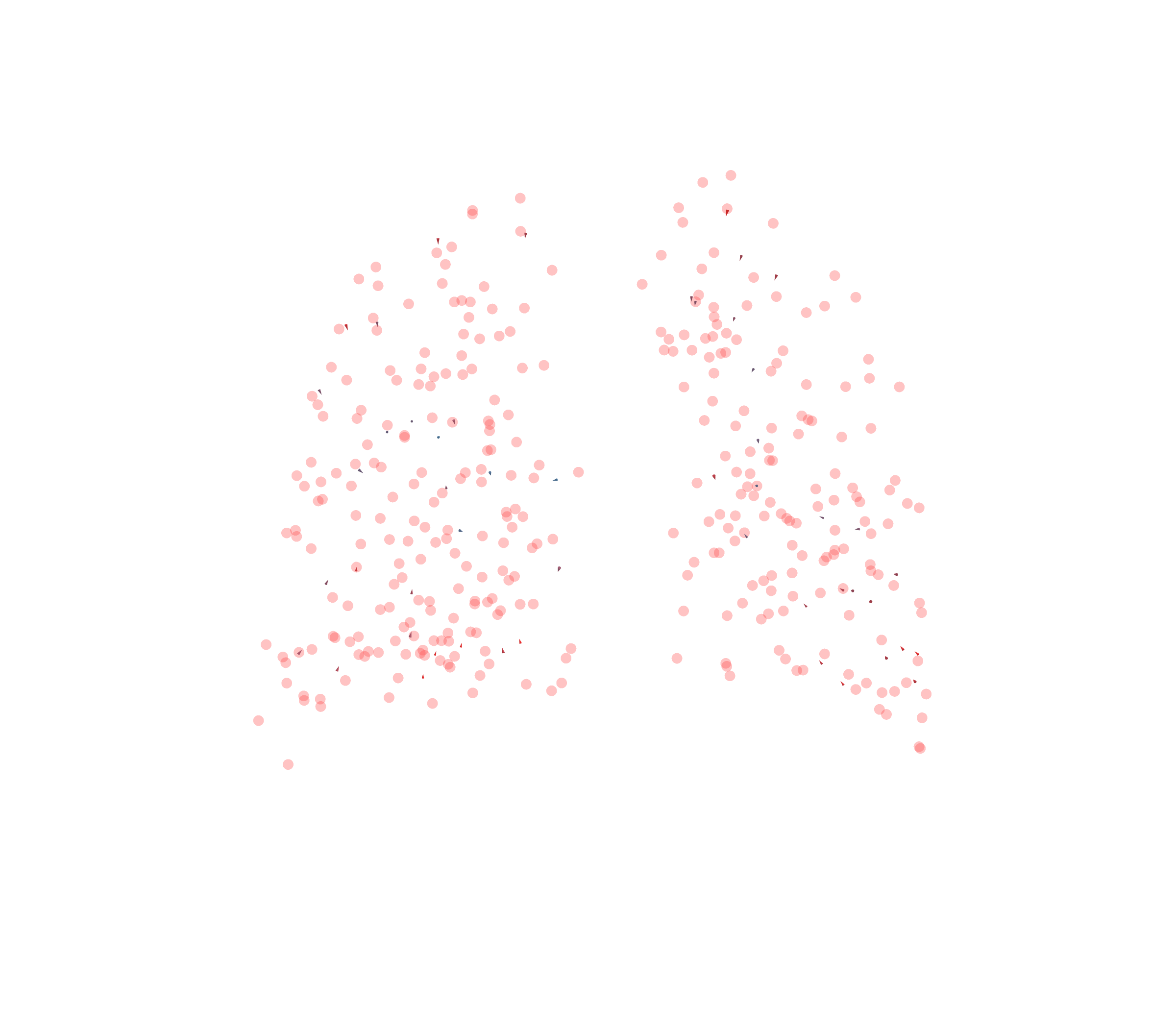 Displacement Vectors - Back View