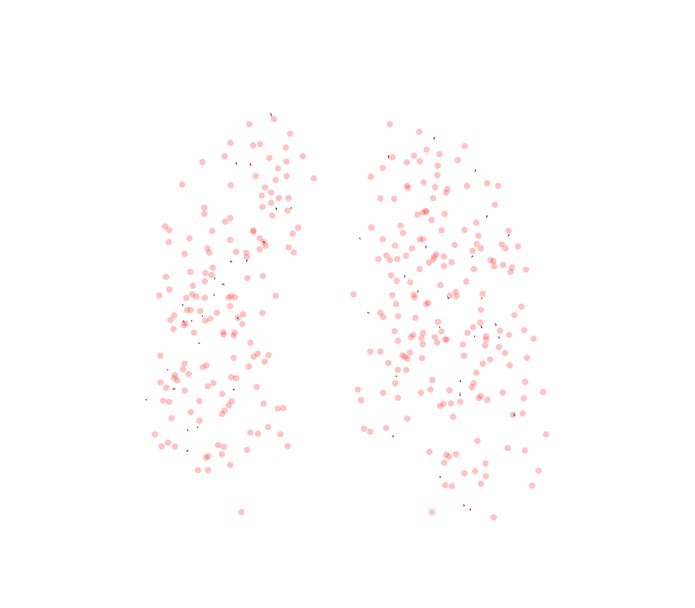 Displacement Vectors - Front View