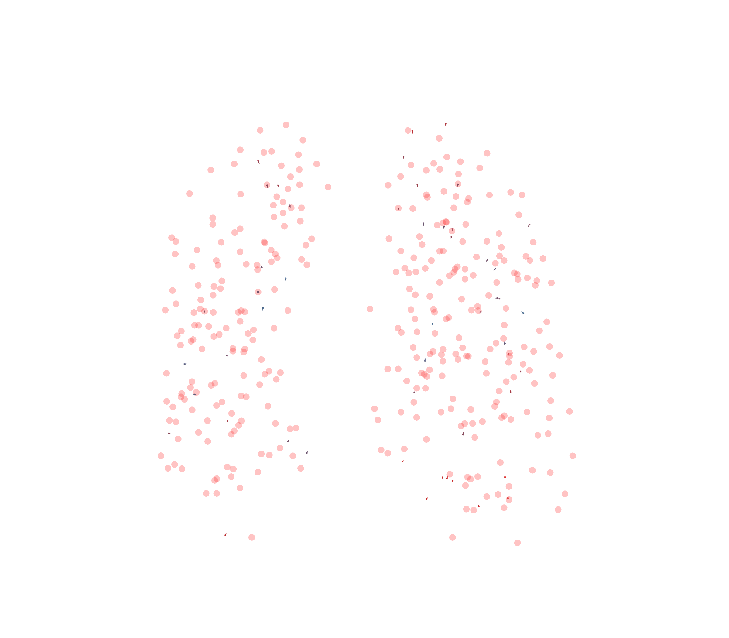 Displacement Vectors - Front View