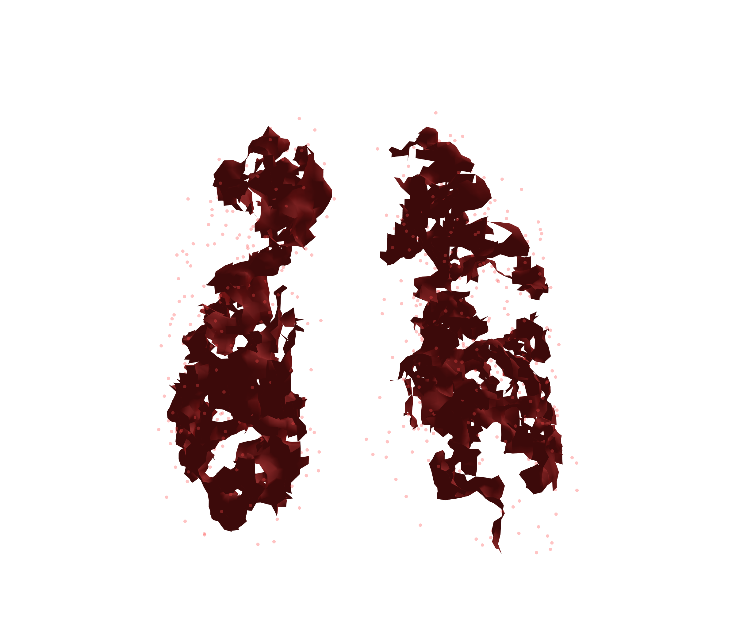 Combined Visualization (Expiration) - Front View