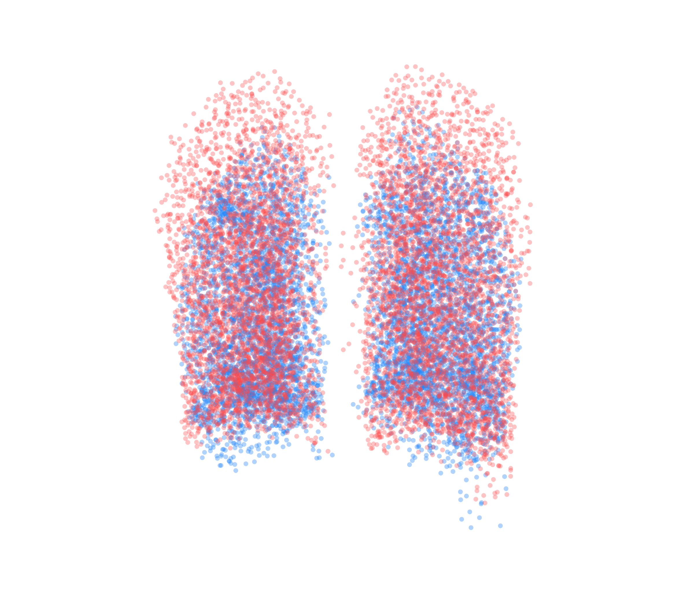 Point Cloud - Back View