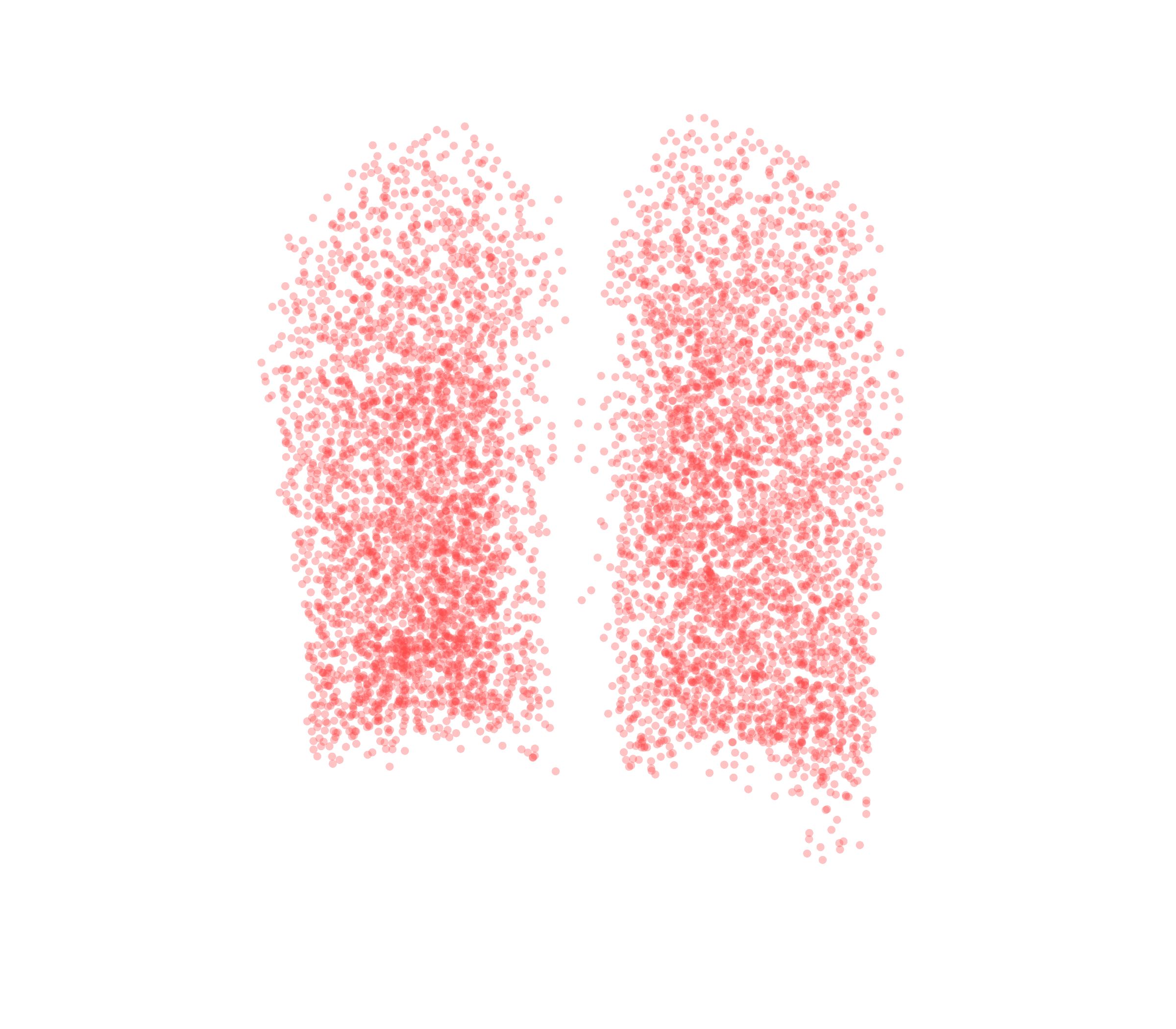 Point Cloud (Expiration) - Back View