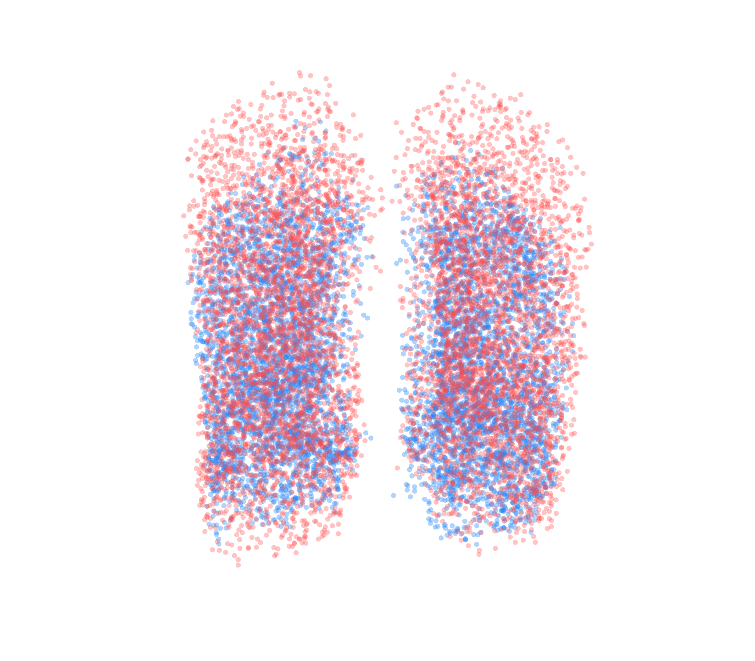 Point Cloud - Front View