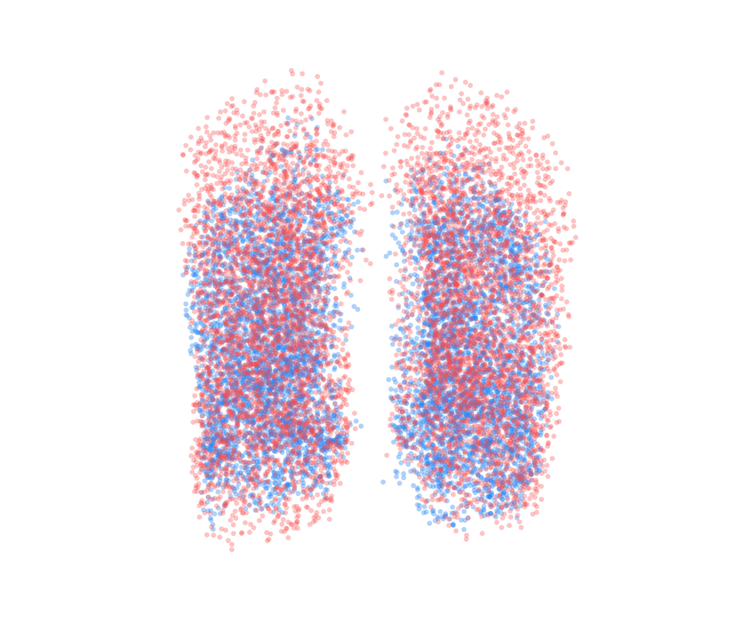 Point Cloud - Front View