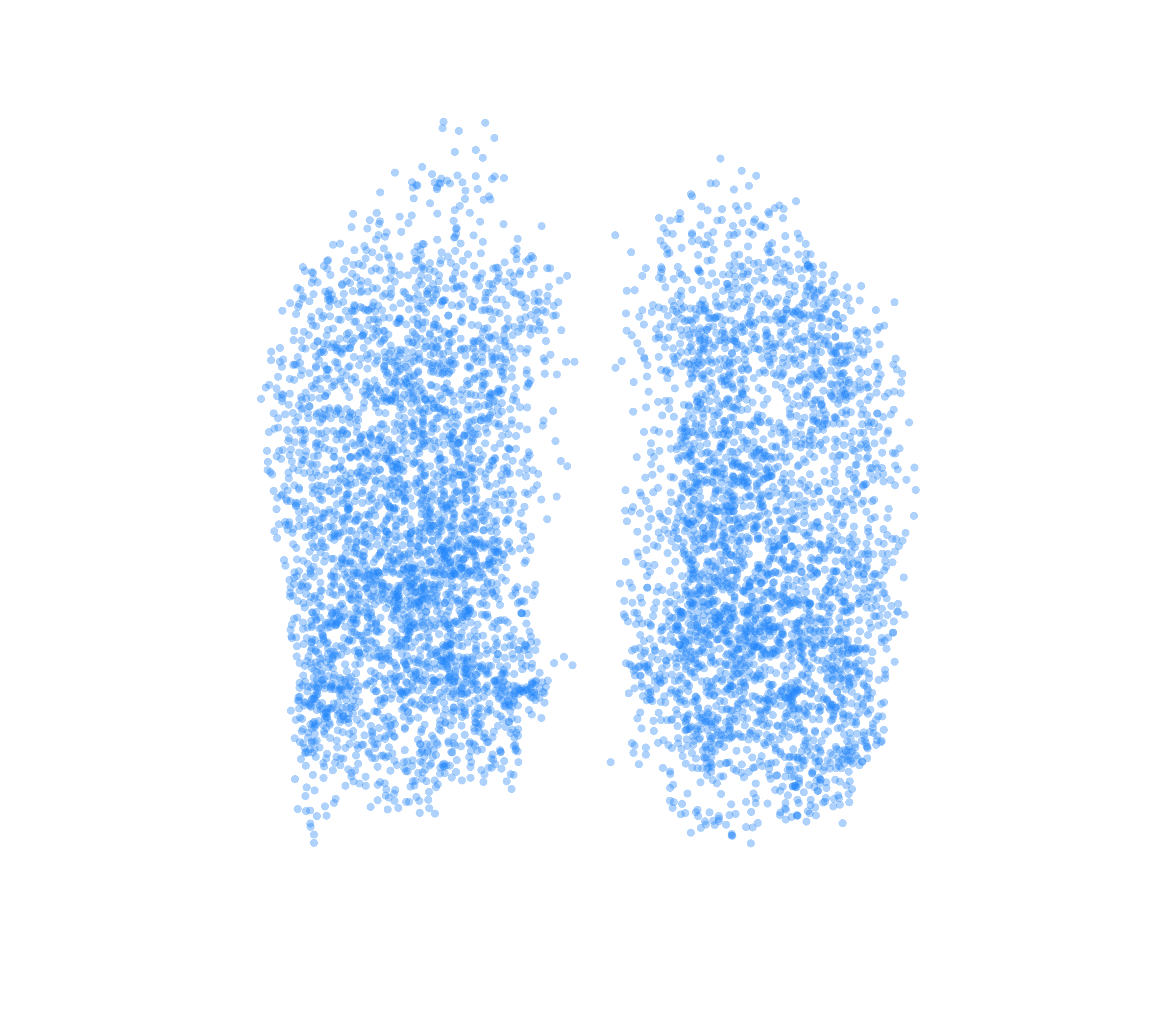 Point Cloud (Inspiration) - Front View