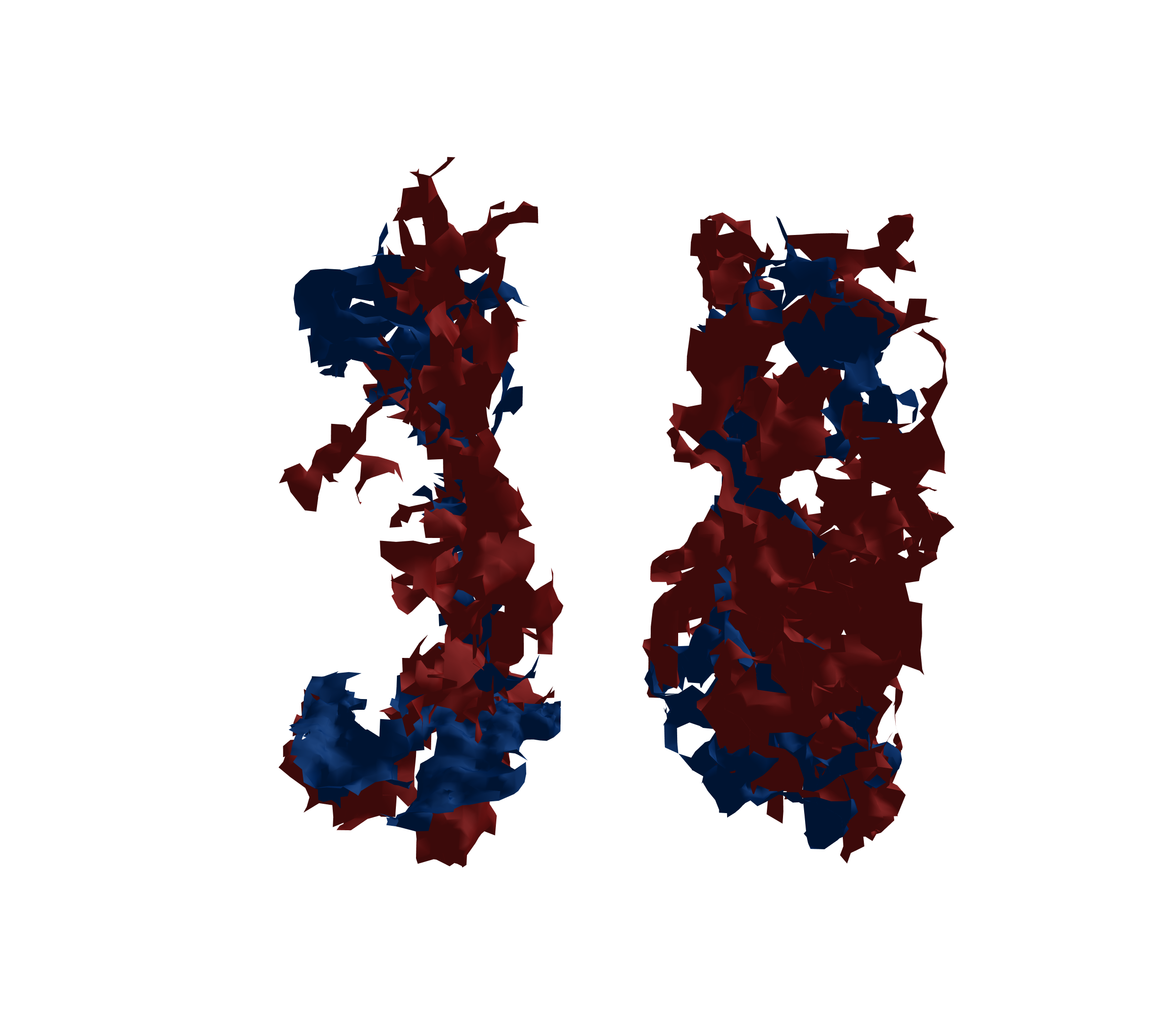 Surface Mesh - Front View