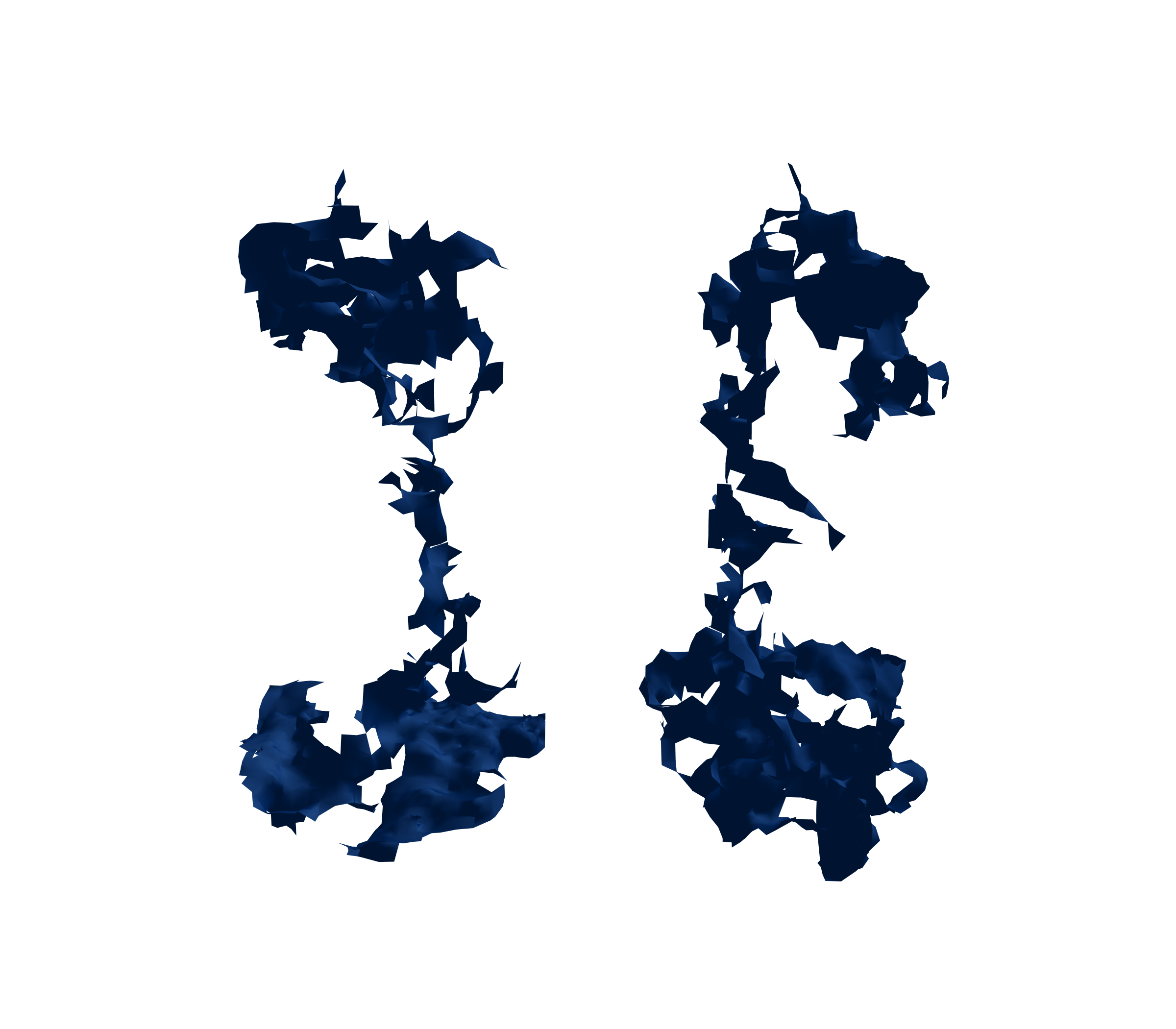 Surface Mesh (Inspiration) - Front View