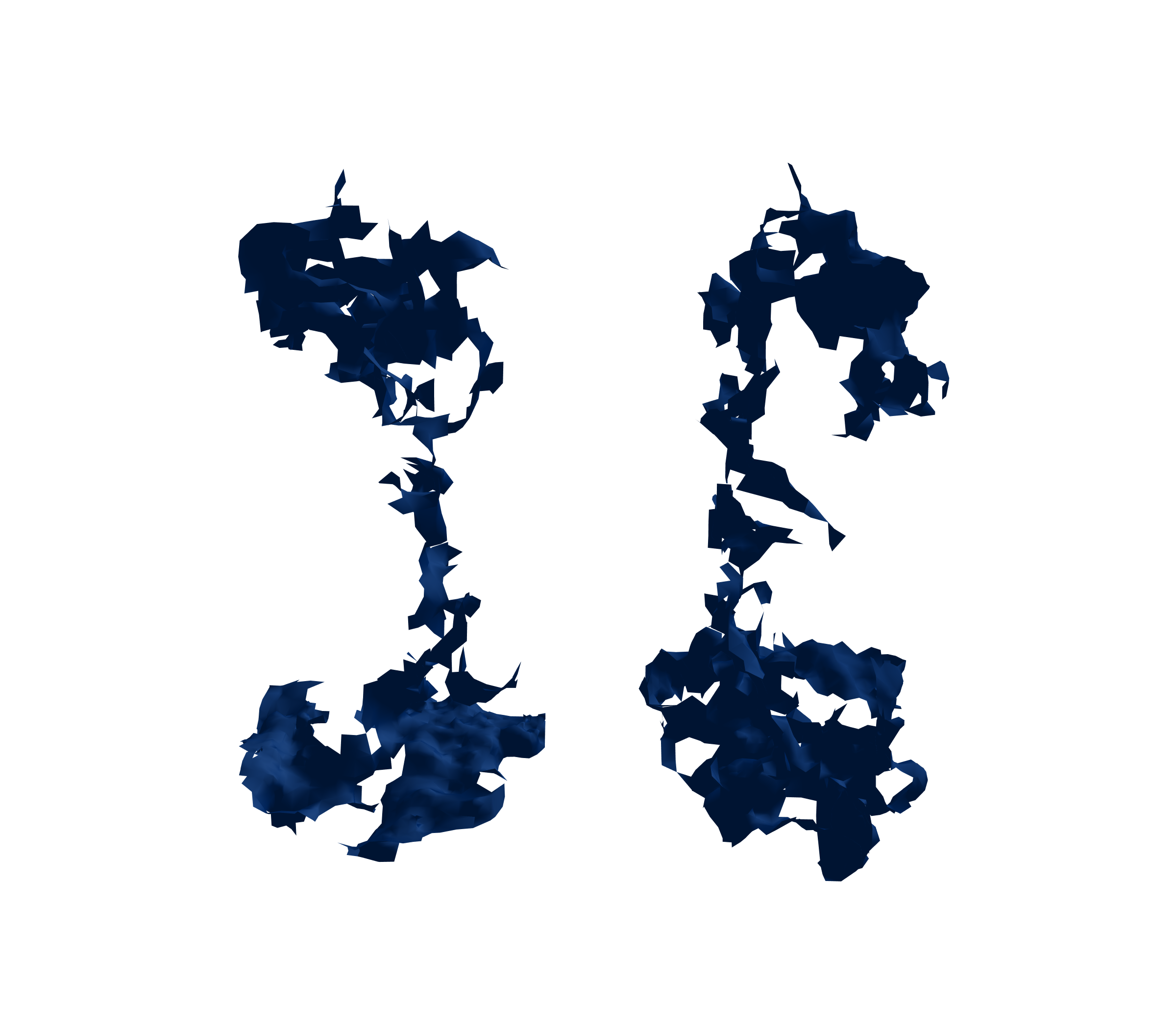 Surface Mesh (Inspiration) - Front View