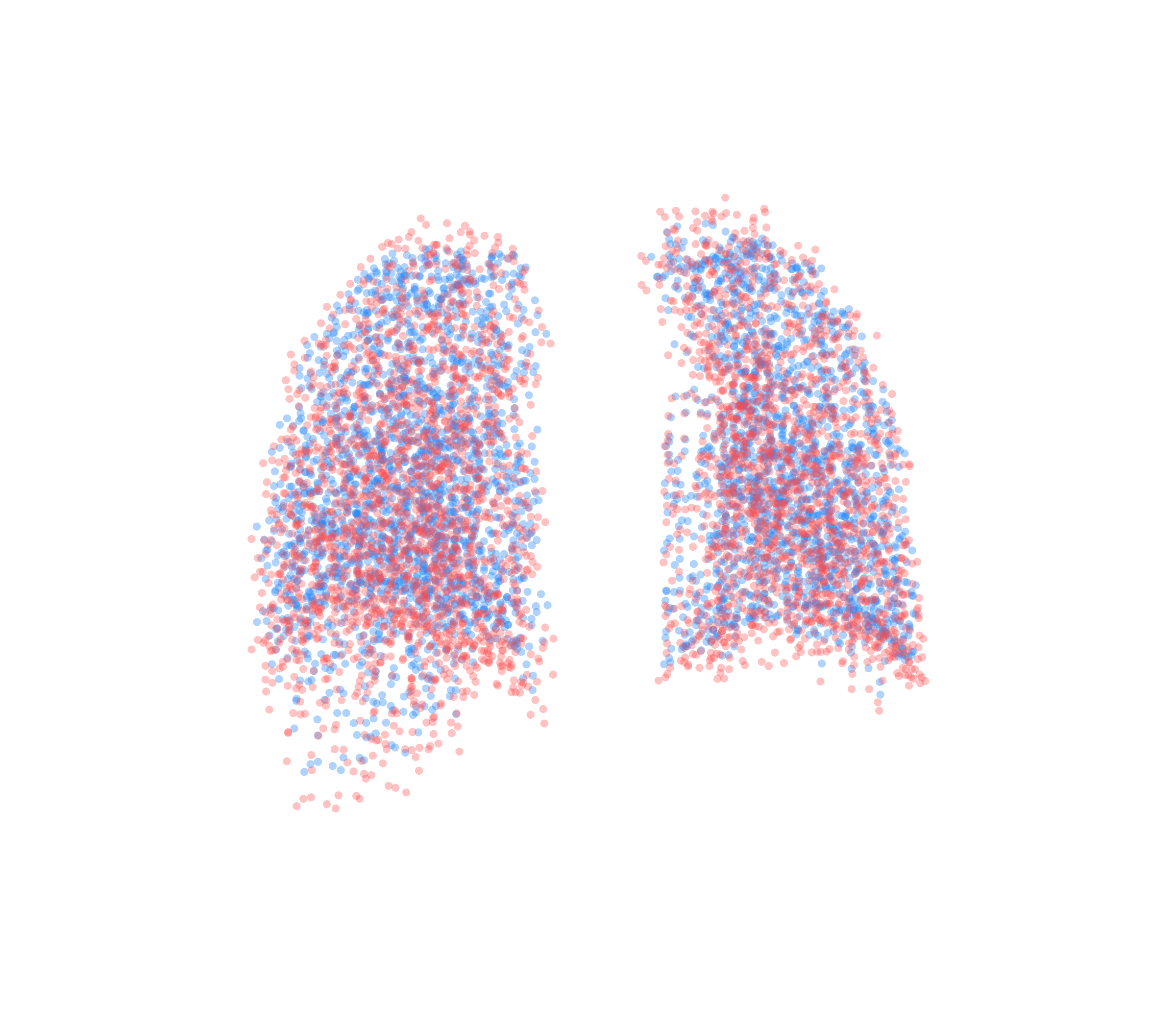 Point Cloud - Back View