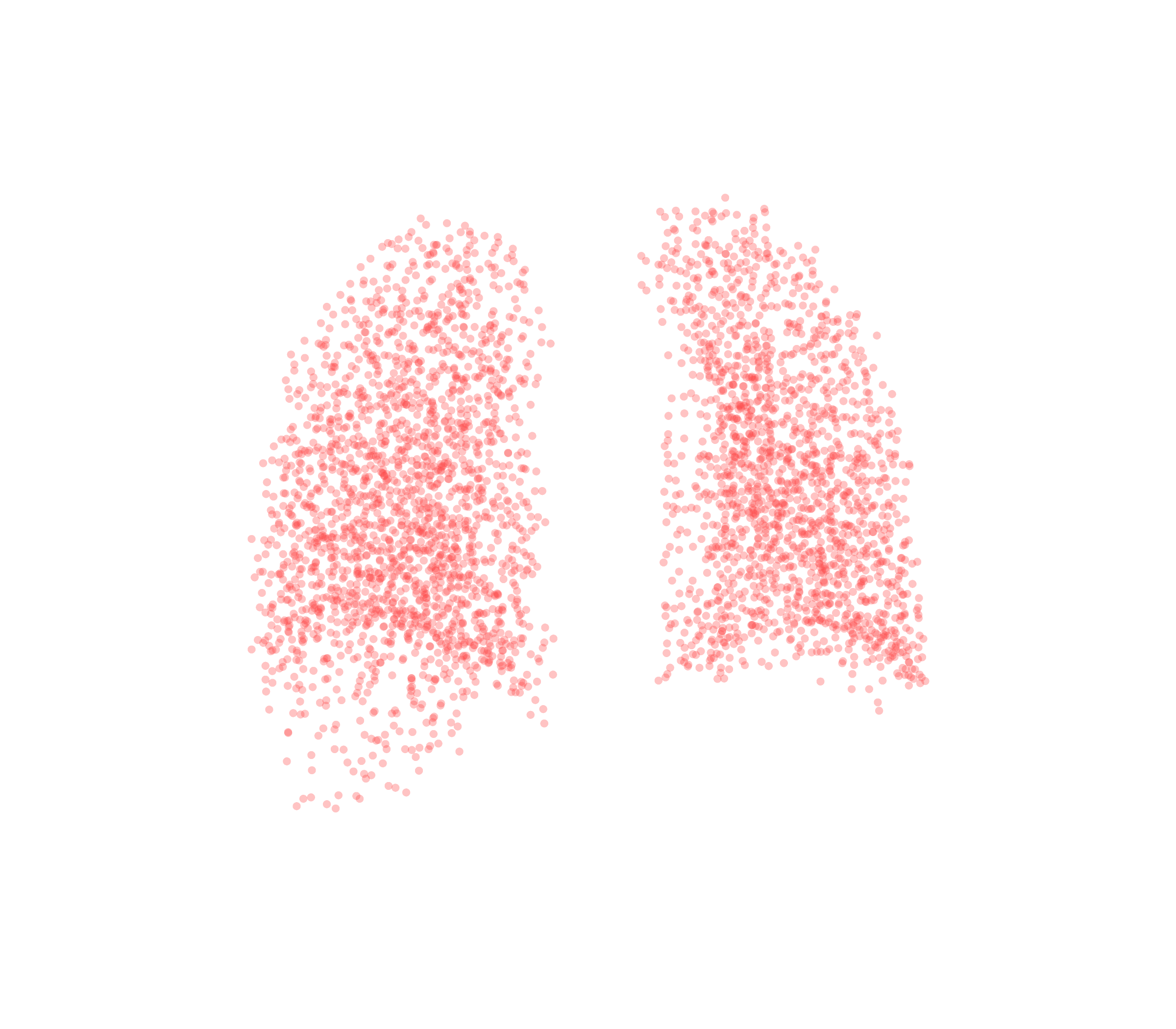 Point Cloud (Expiration) - Back View