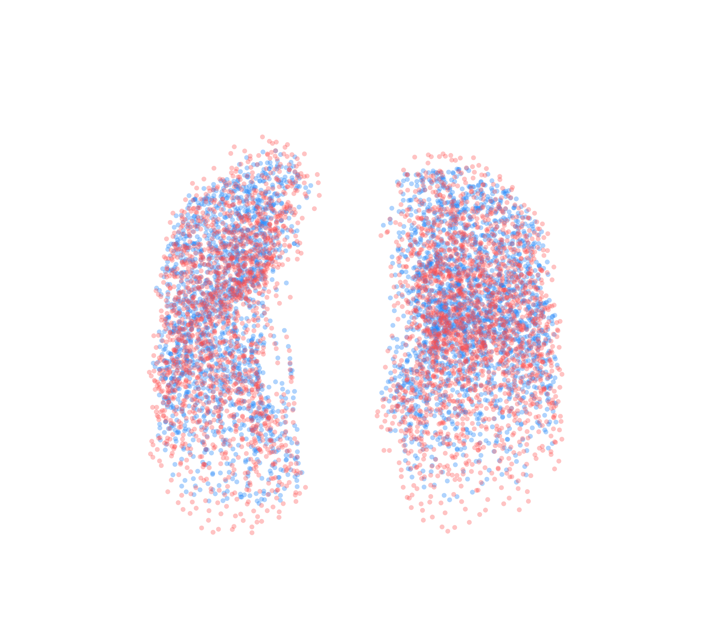 Point Cloud - Front View