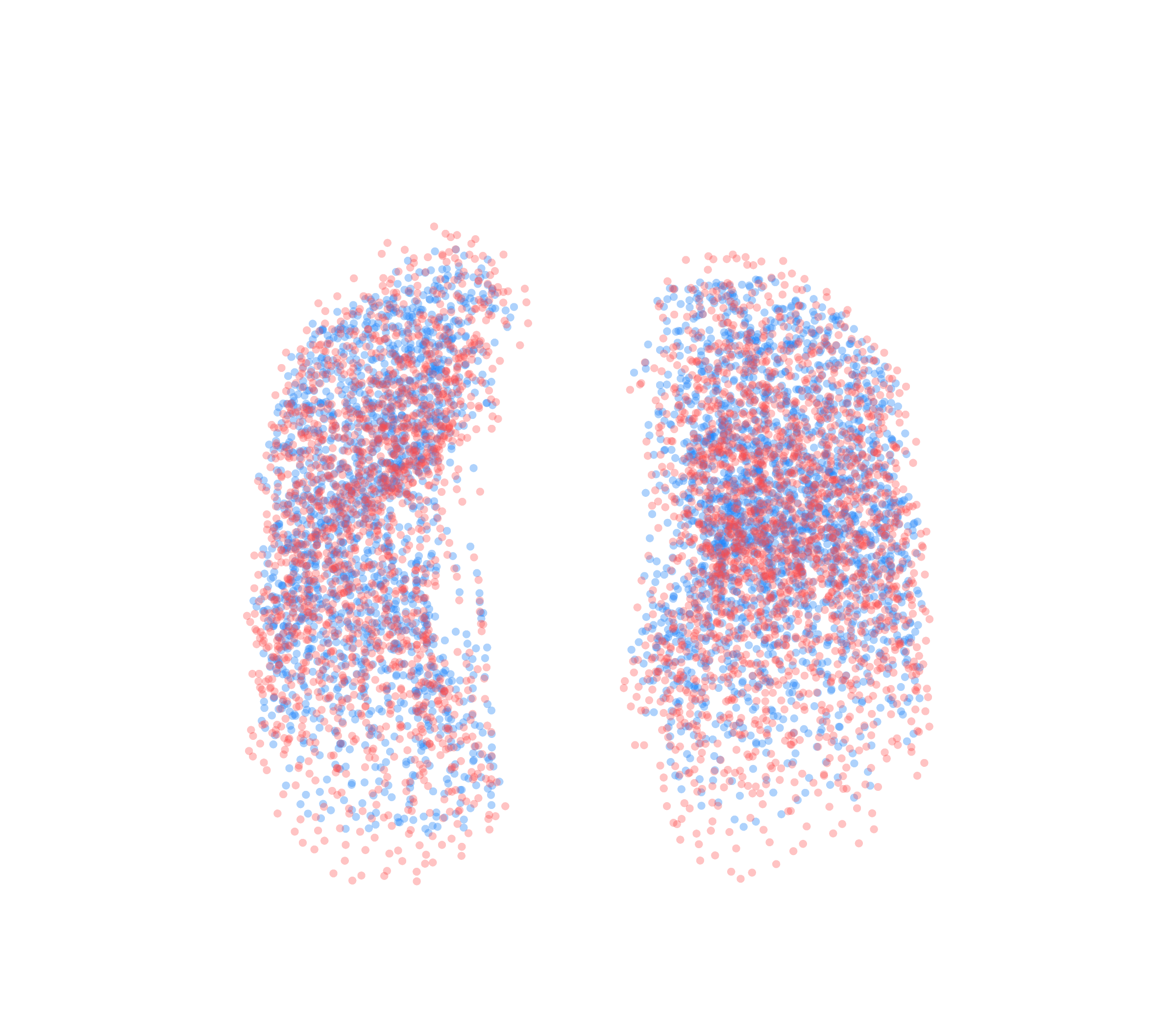 Point Cloud - Front View