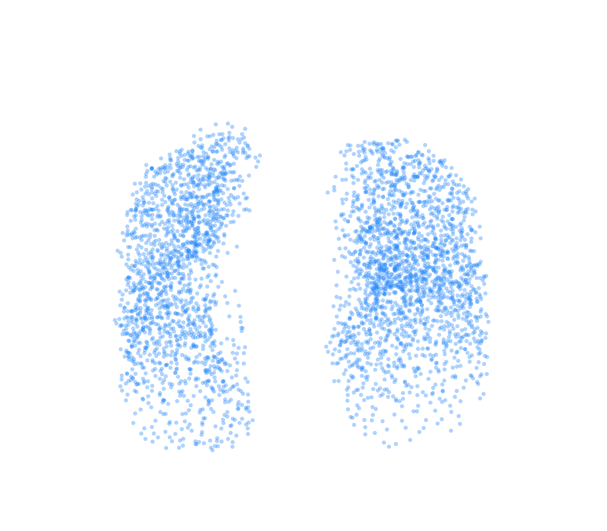 Point Cloud (Inspiration) - Front View