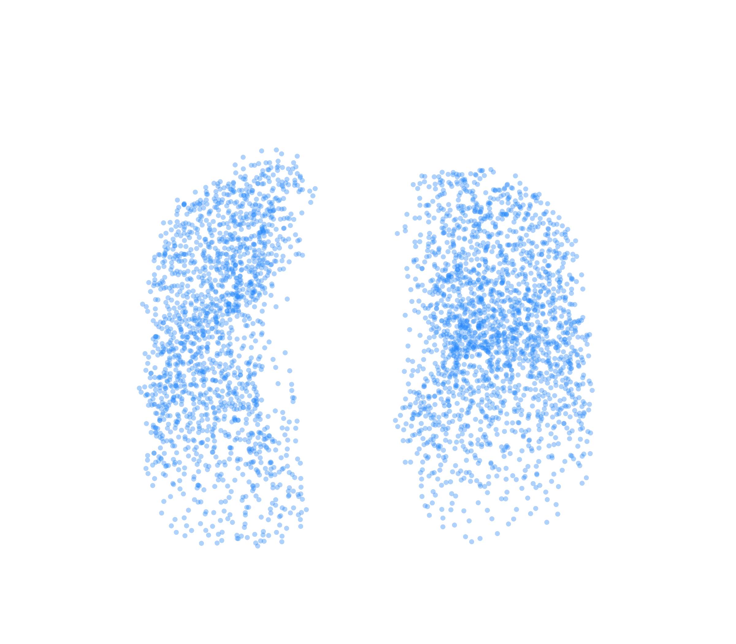 Point Cloud (Inspiration) - Front View