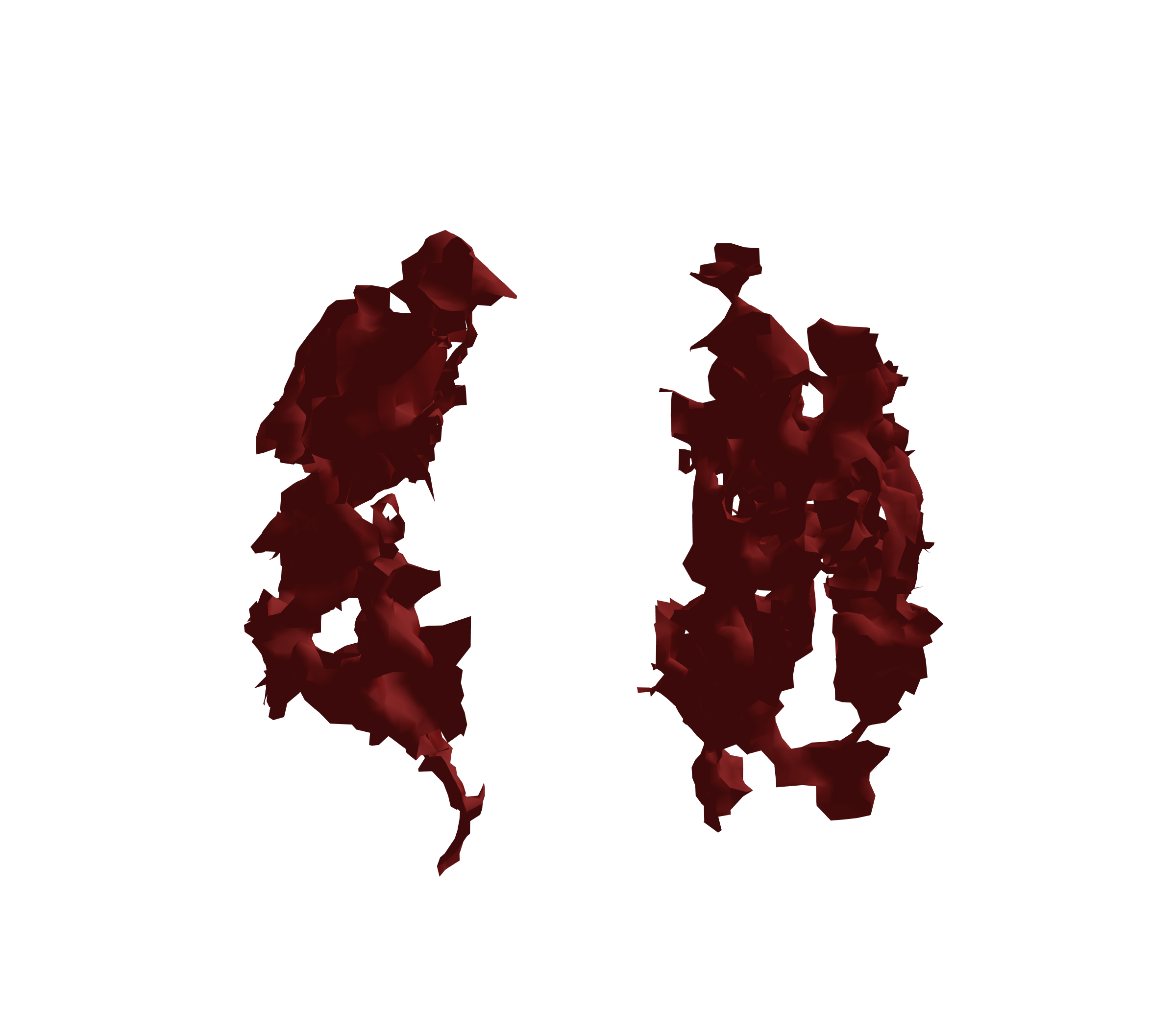 Surface Mesh (Expiration) - Front View