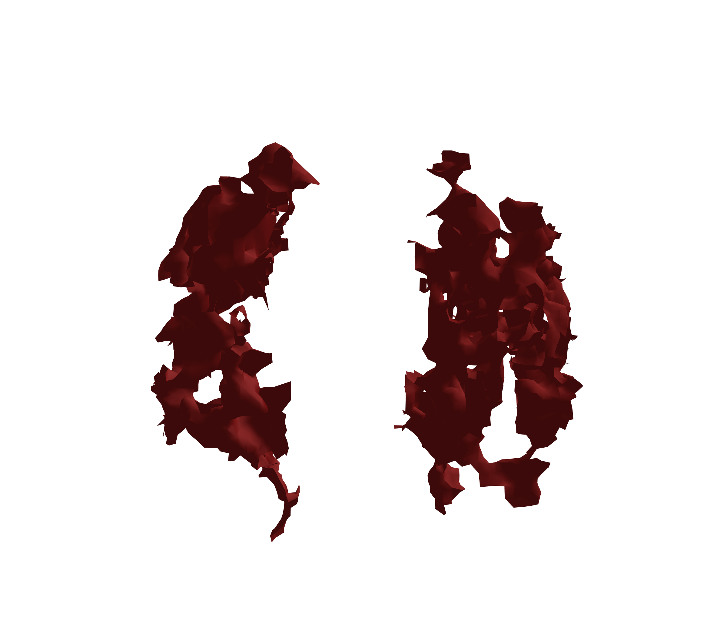 Surface Mesh (Expiration) - Front View